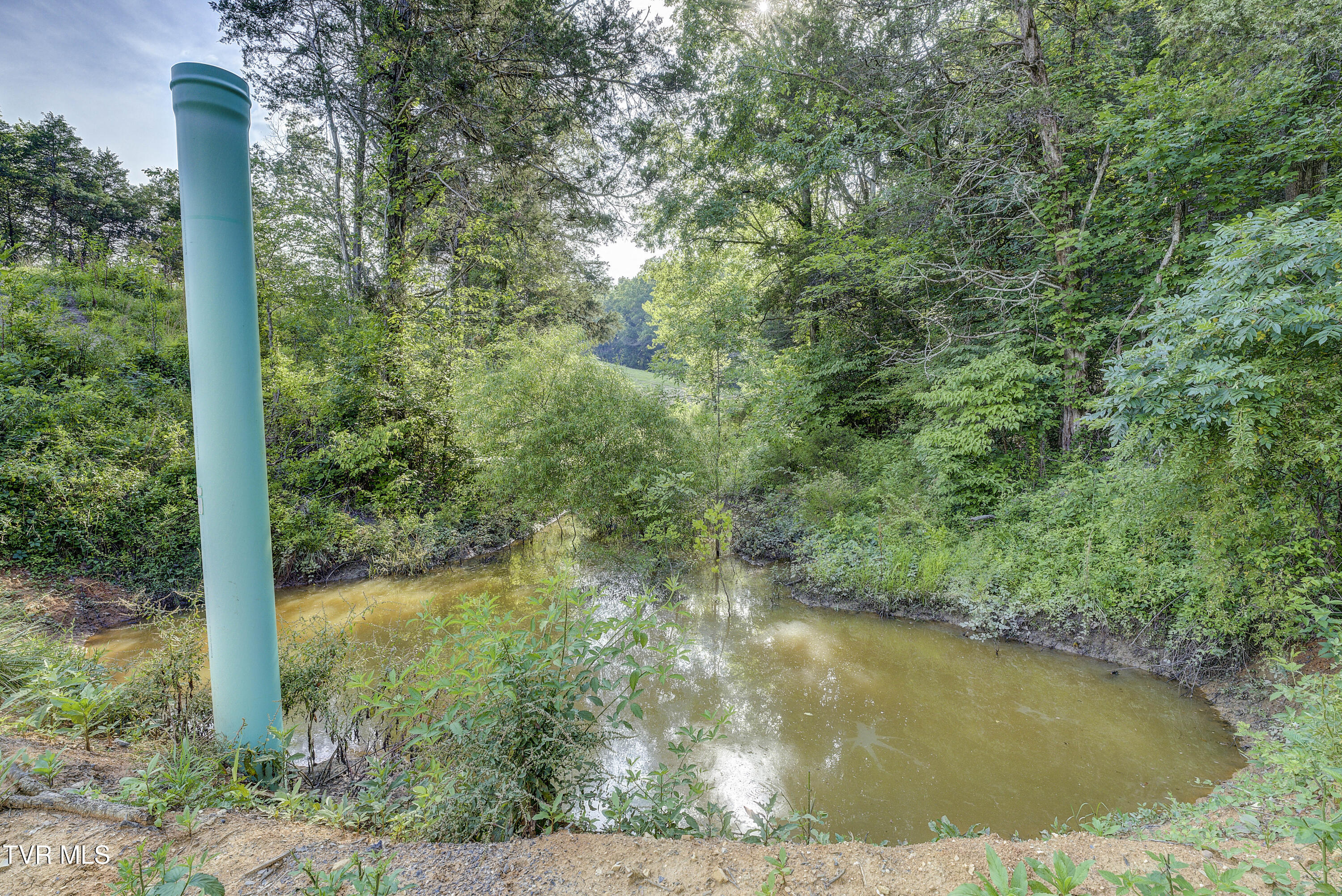 Piney Flats, Tennessee, 37686, United States, ,Land,For Sale,1983828