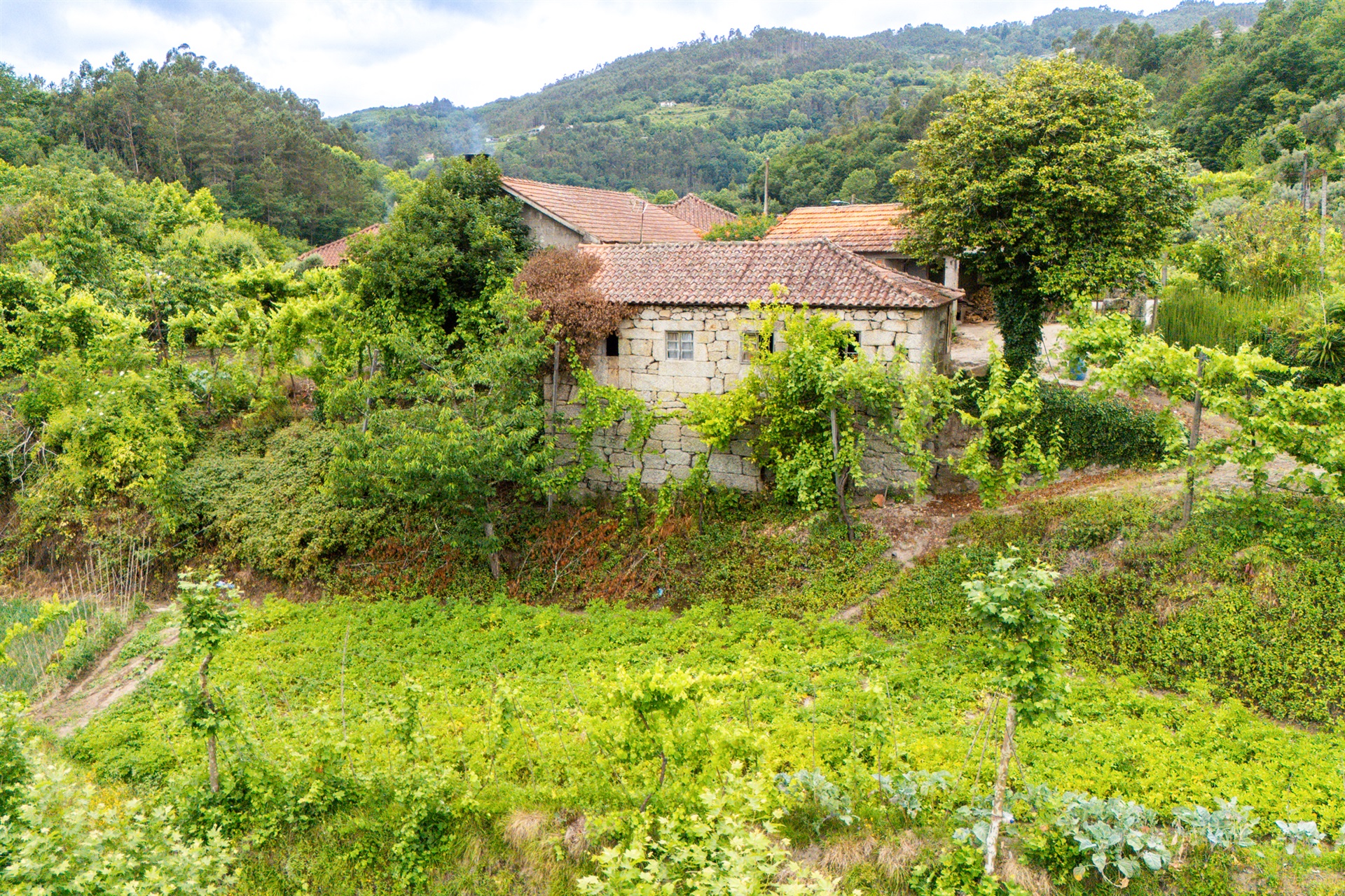  Farm, 3 bedrooms, for Sale - 物件實景