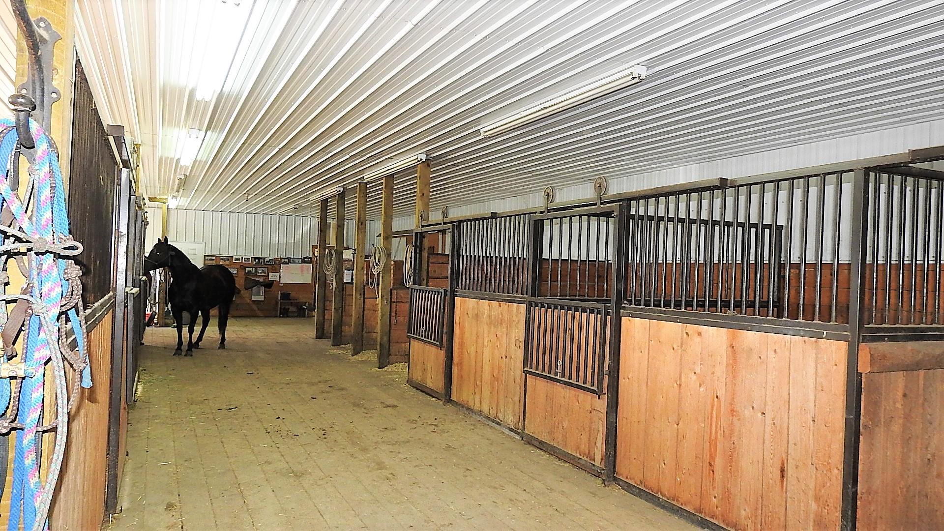 RURAL FOOTHILLS COUNTY, Alberta, T1S 4A9, CA, 3 Bedrooms Bedrooms, ,5 BathroomsBathrooms,Residential,For Sale,1838193