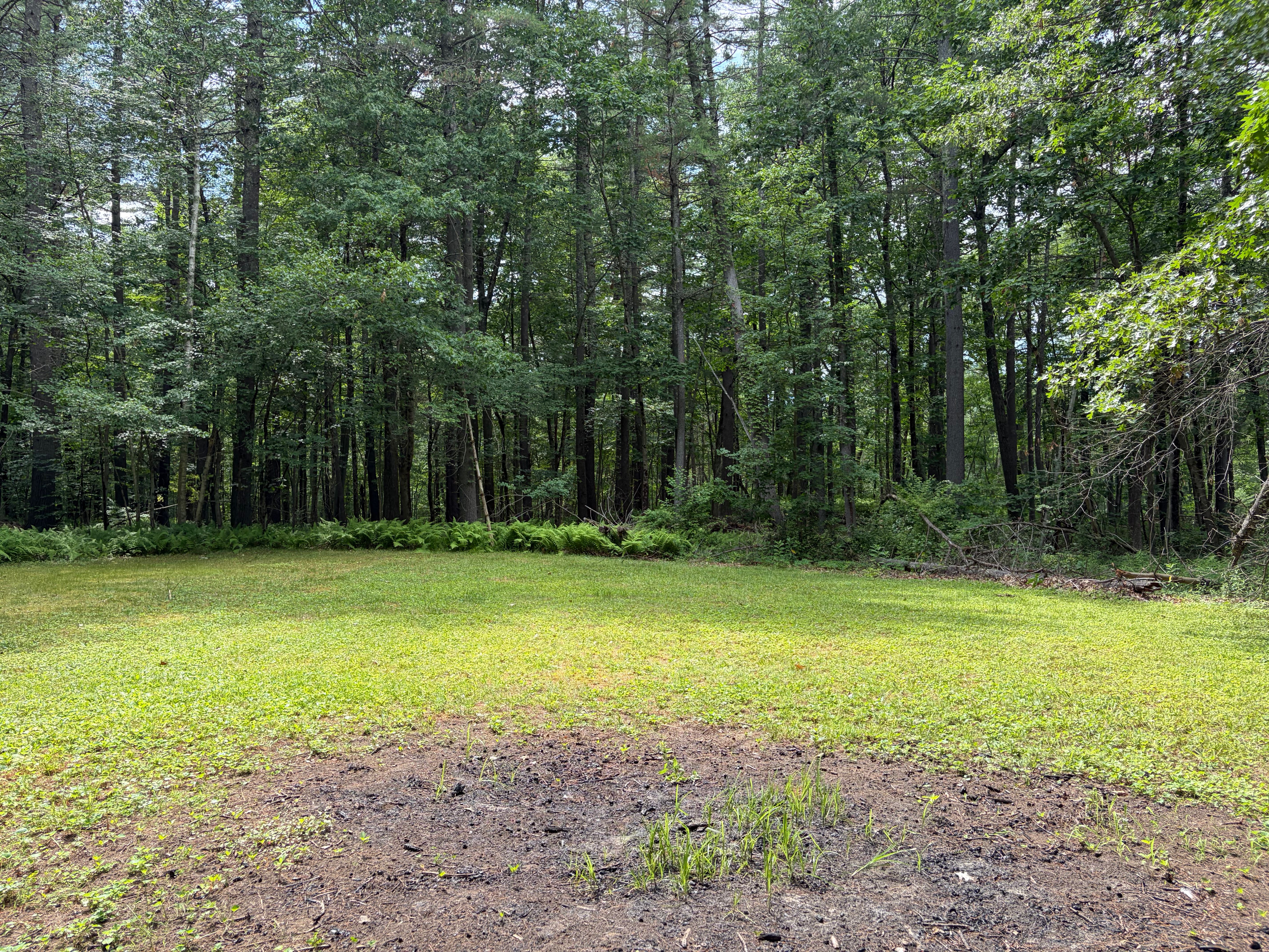 0 Judy Farm Road, Carlisle, MA, 01741 - 物件實景