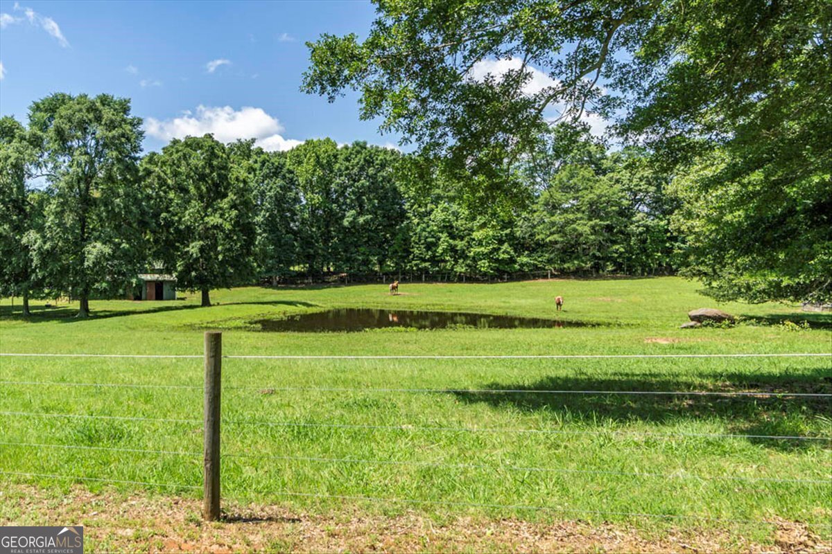 Colbert, Georgia, 30268, United States, ,Land,For Sale,1827038