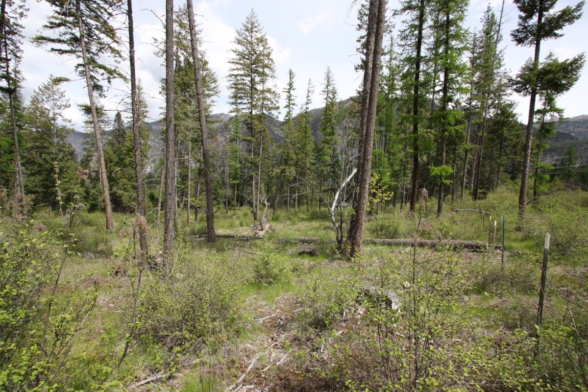 Plains, Montana, 59859, United States, ,Residential,For Sale,1921183