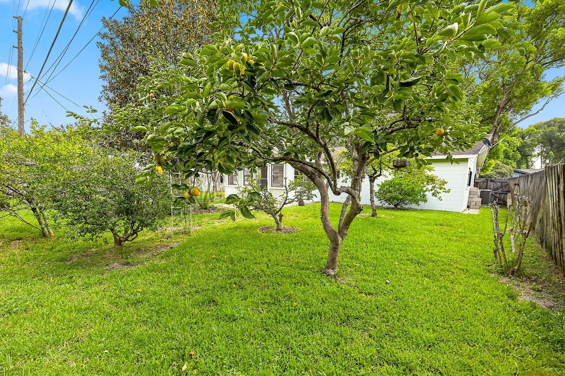  Altamonte Springs - 物件實景