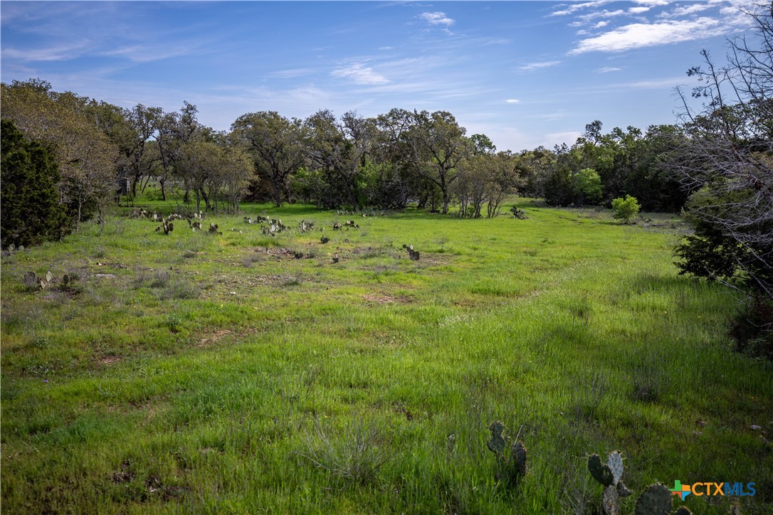 San Marcos, Texas, 78666, United States, ,Land,For Sale,1990898