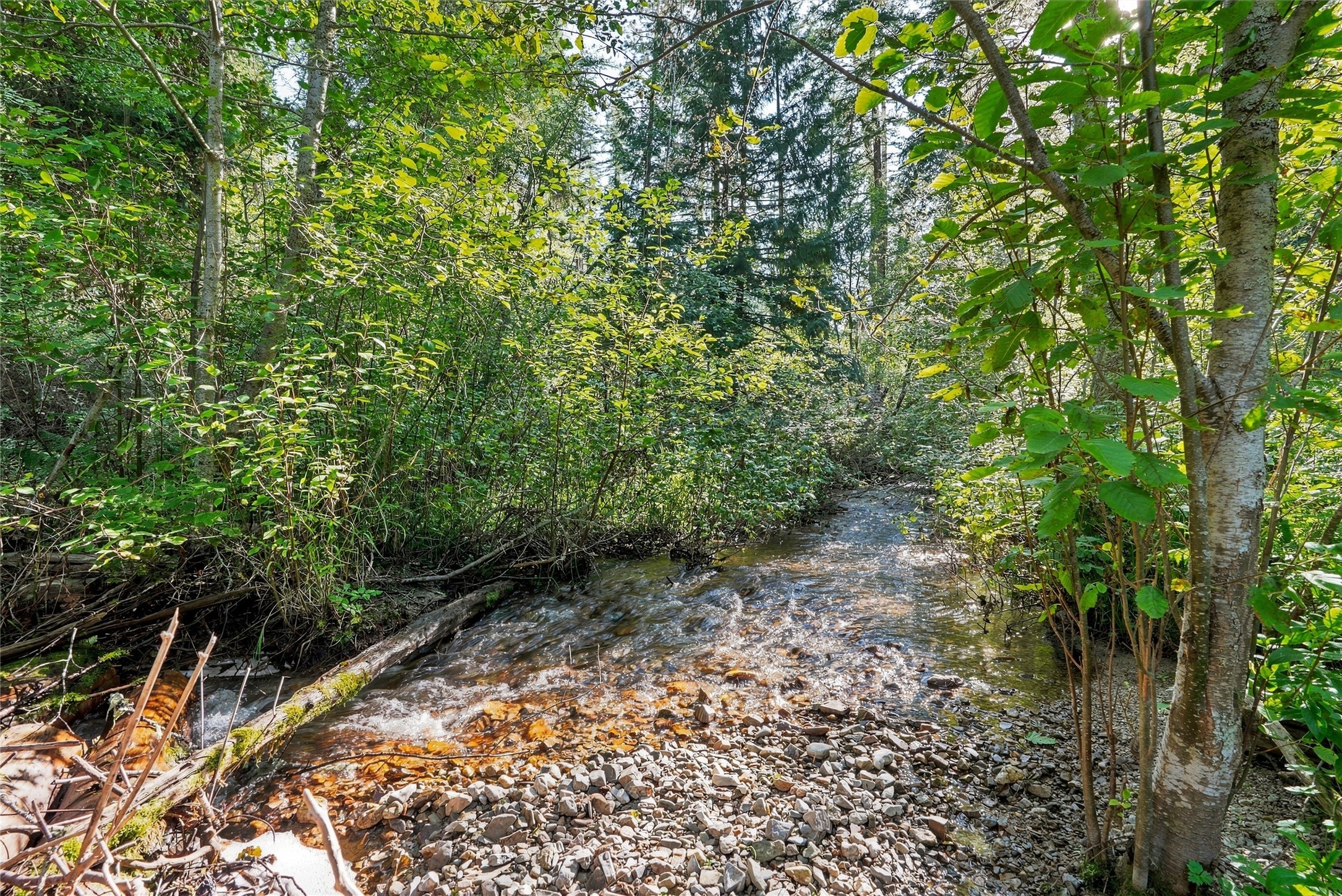  14605 Mormon Creek Road - 物件實景