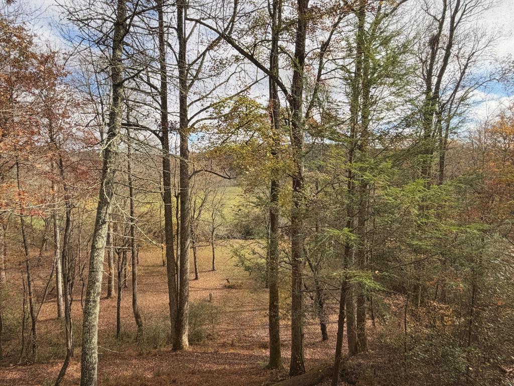 Blue Ridge, Georgia, 30513, United States, 3 Bedrooms Bedrooms, ,3 BathroomsBathrooms,Residential,For Sale,1954403