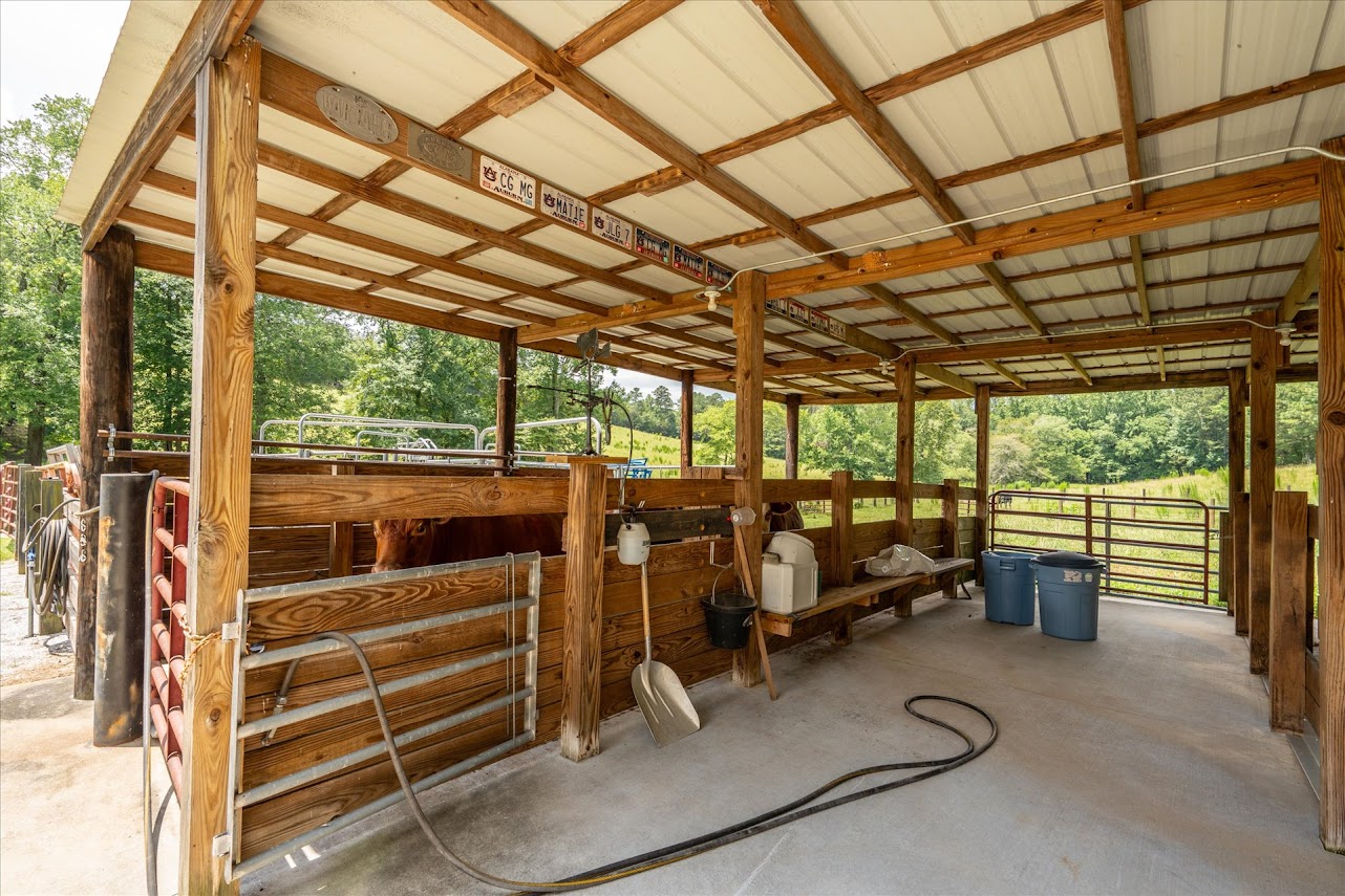 Heflin, Alabama, 36264, United States, ,Land,For Sale,1981342