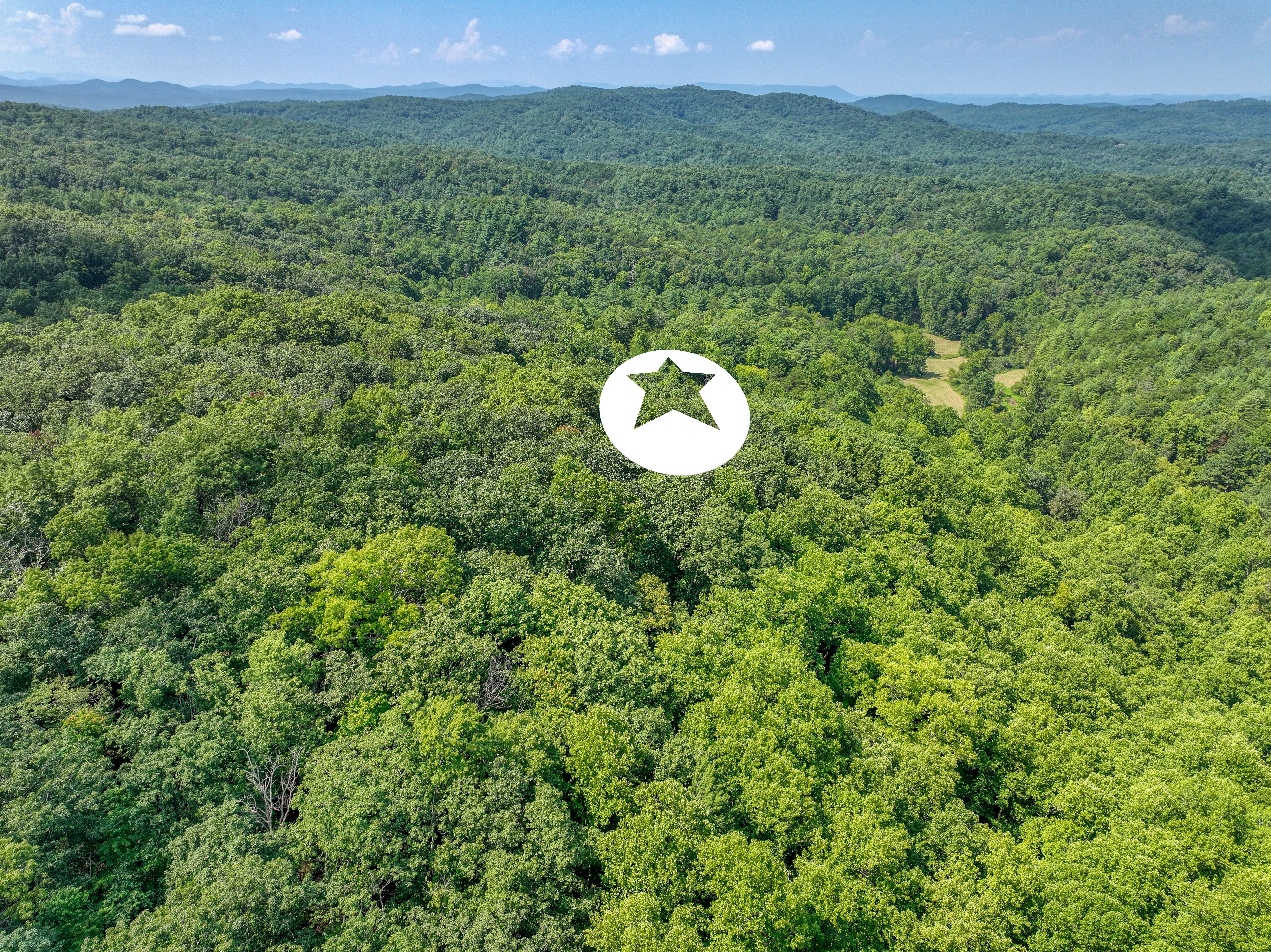  Belcher Loop, Tellico Plains, TN 37385 - 物件實景