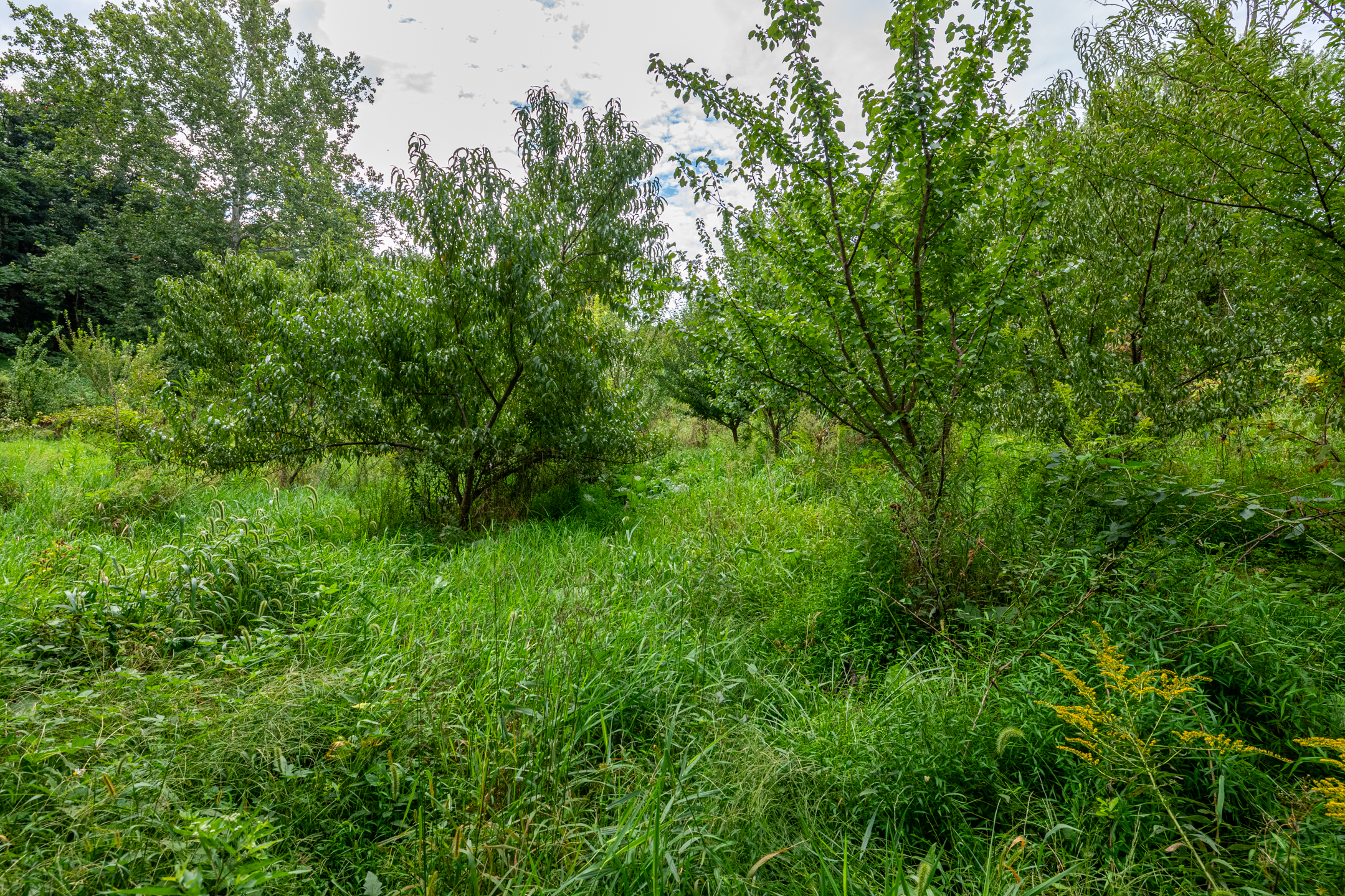 0 River Rd, Pequea, PA 17565 - 物件實景