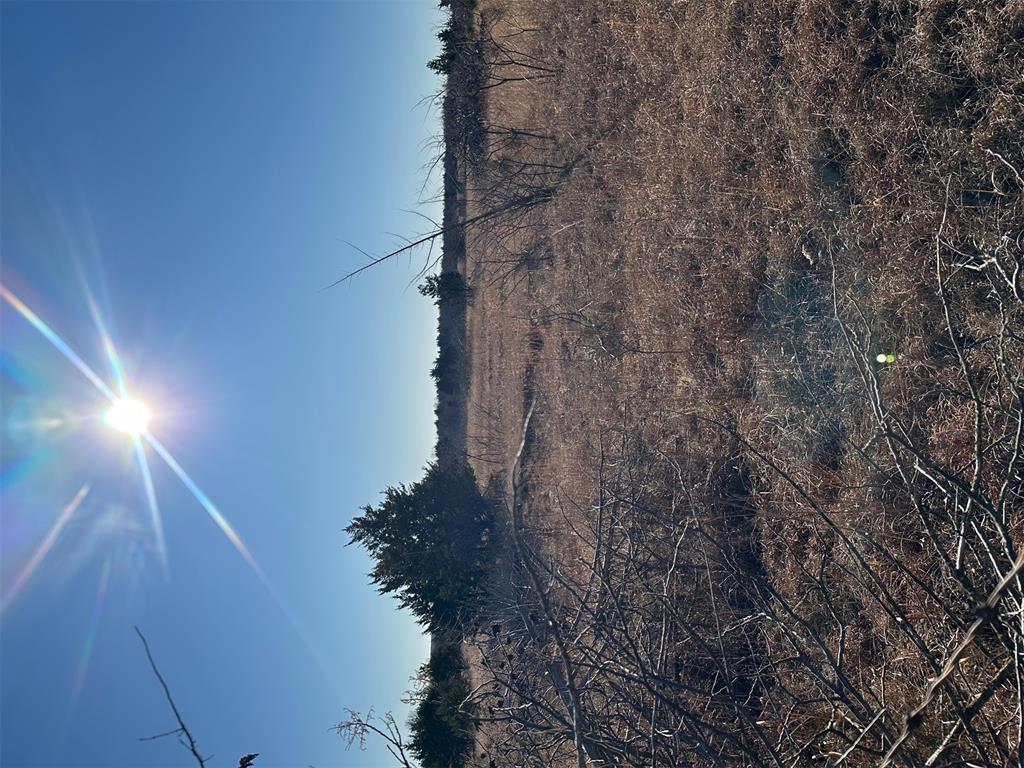 Meridian, Oklahoma, 73058, United States, ,Land,For Sale,2009056