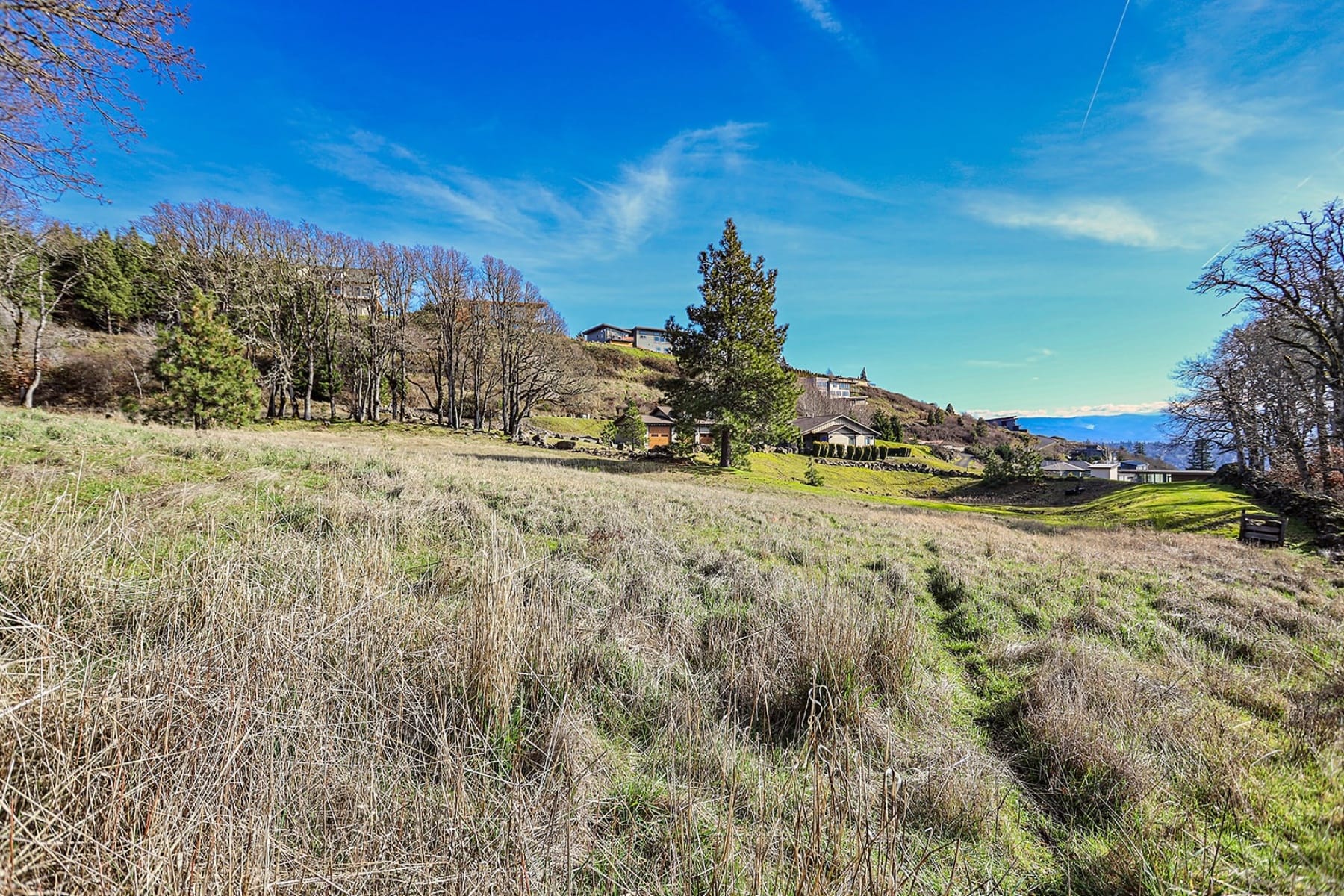  1170 SW THORNTON DR White Salmon, WA 98672 - 物件實景
