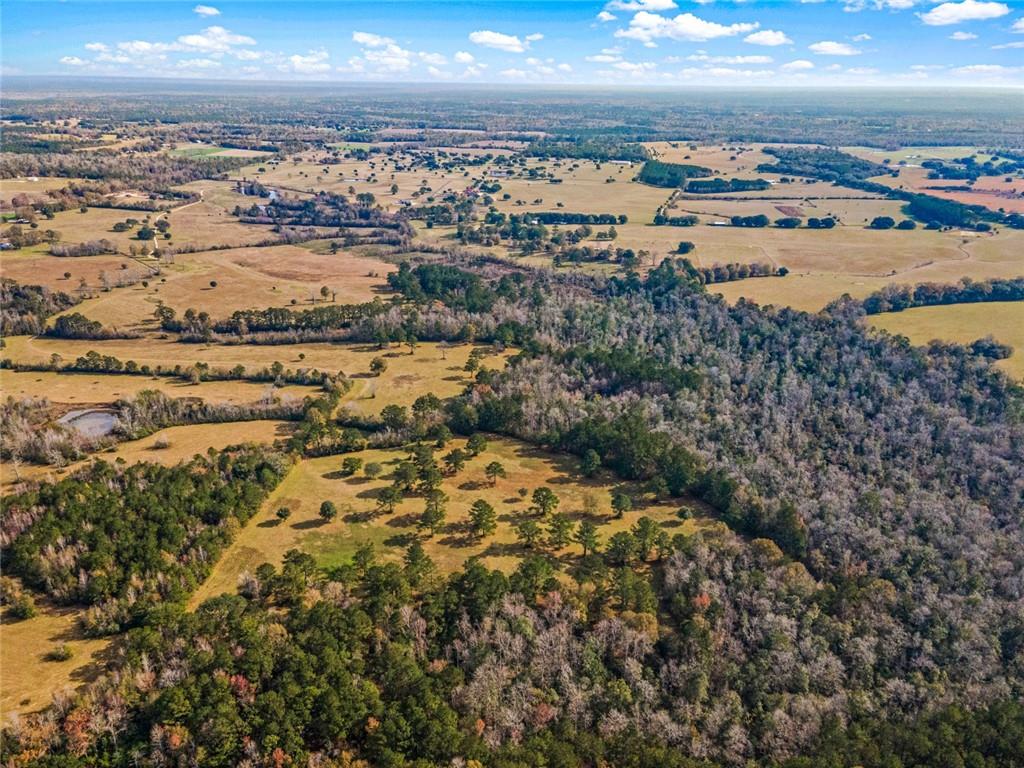 227.5 Acres Old Military (hwy 1082) Road, Bush, Louisiana, 70431, United States, ,Land,For Sale,227.5 Acres Old Military (hwy 1082) Road,1434121