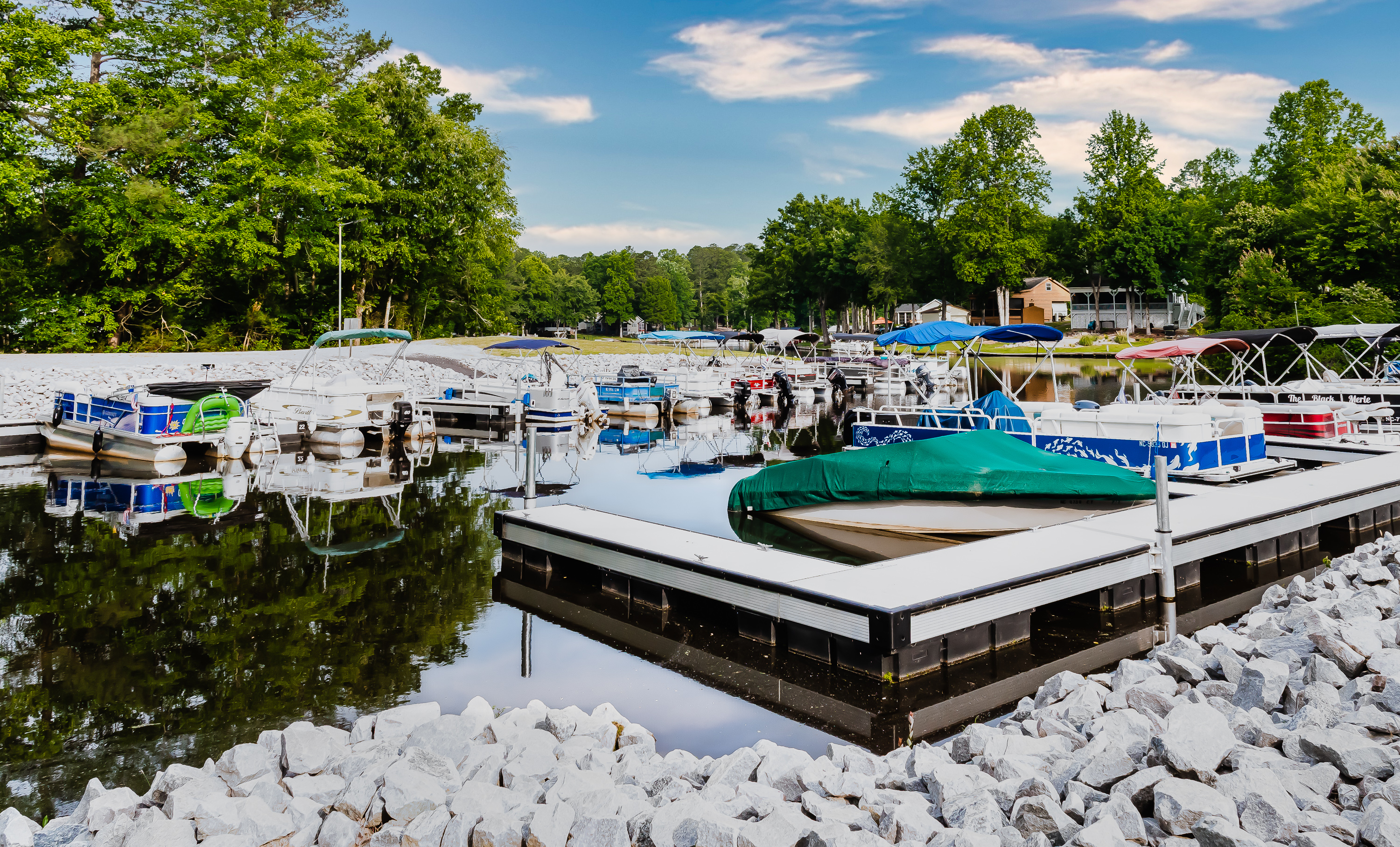 Louisburg, North Carolina, 27549, United States, 3 Bedrooms Bedrooms, ,3 BathroomsBathrooms,Residential,For Sale,2005873