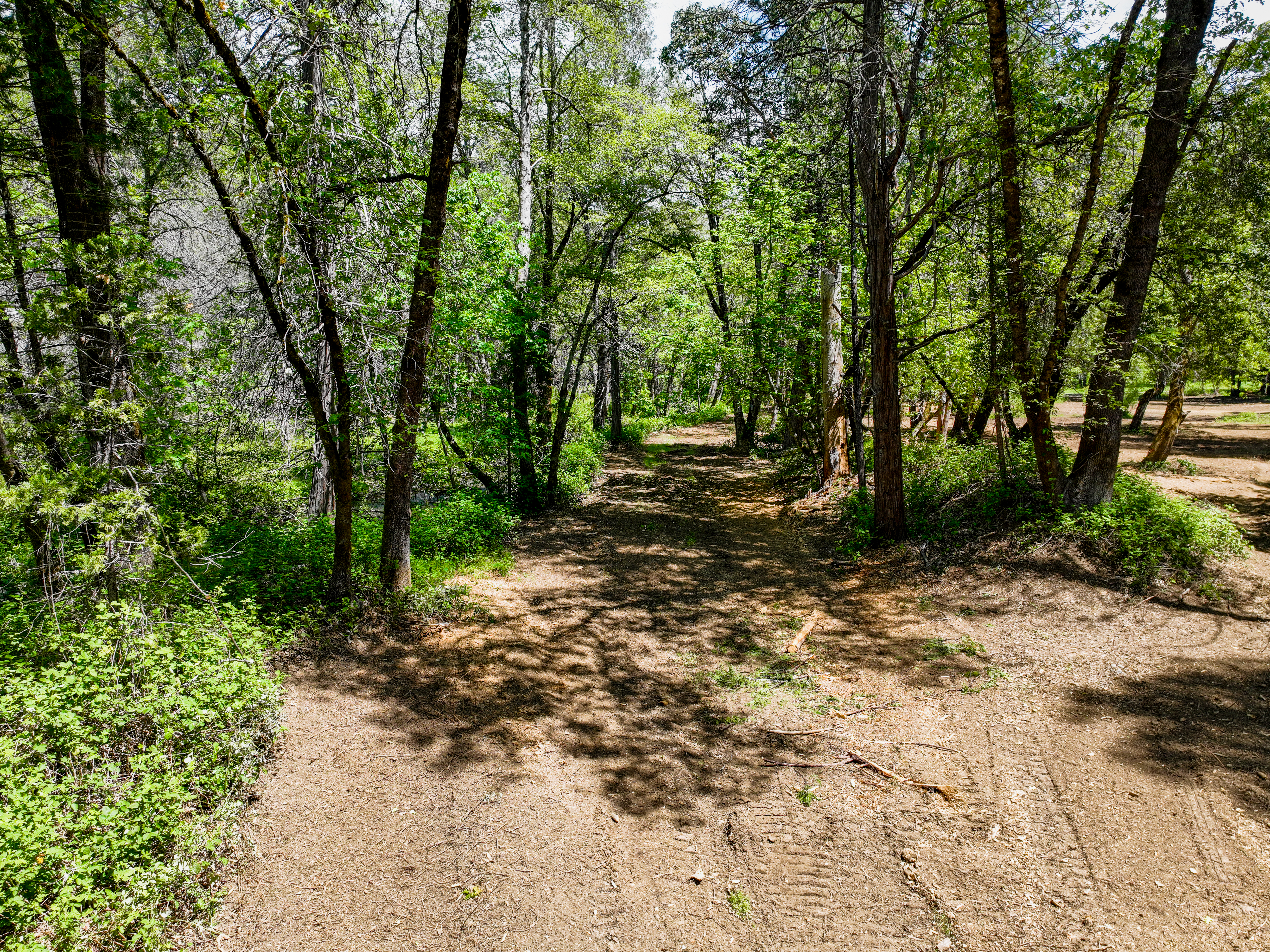  20493 Rector Road, Nevada City, CA 95959 - 物件實景