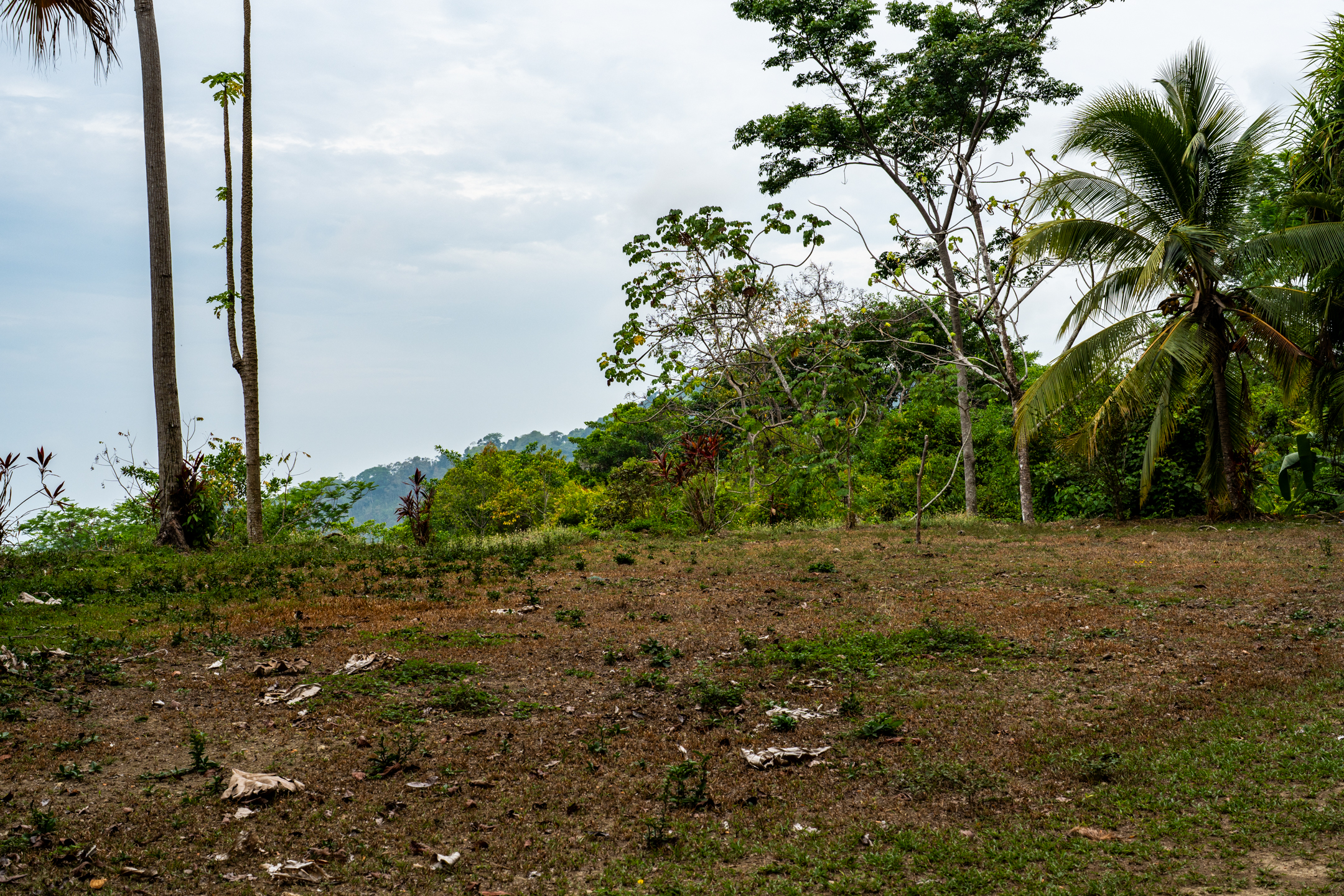 Lagunas, Dominical, Puntarenas, CR, 2 Bedrooms Bedrooms, ,1 BathroomBathrooms,Land,For Sale,Lagunas,1589118