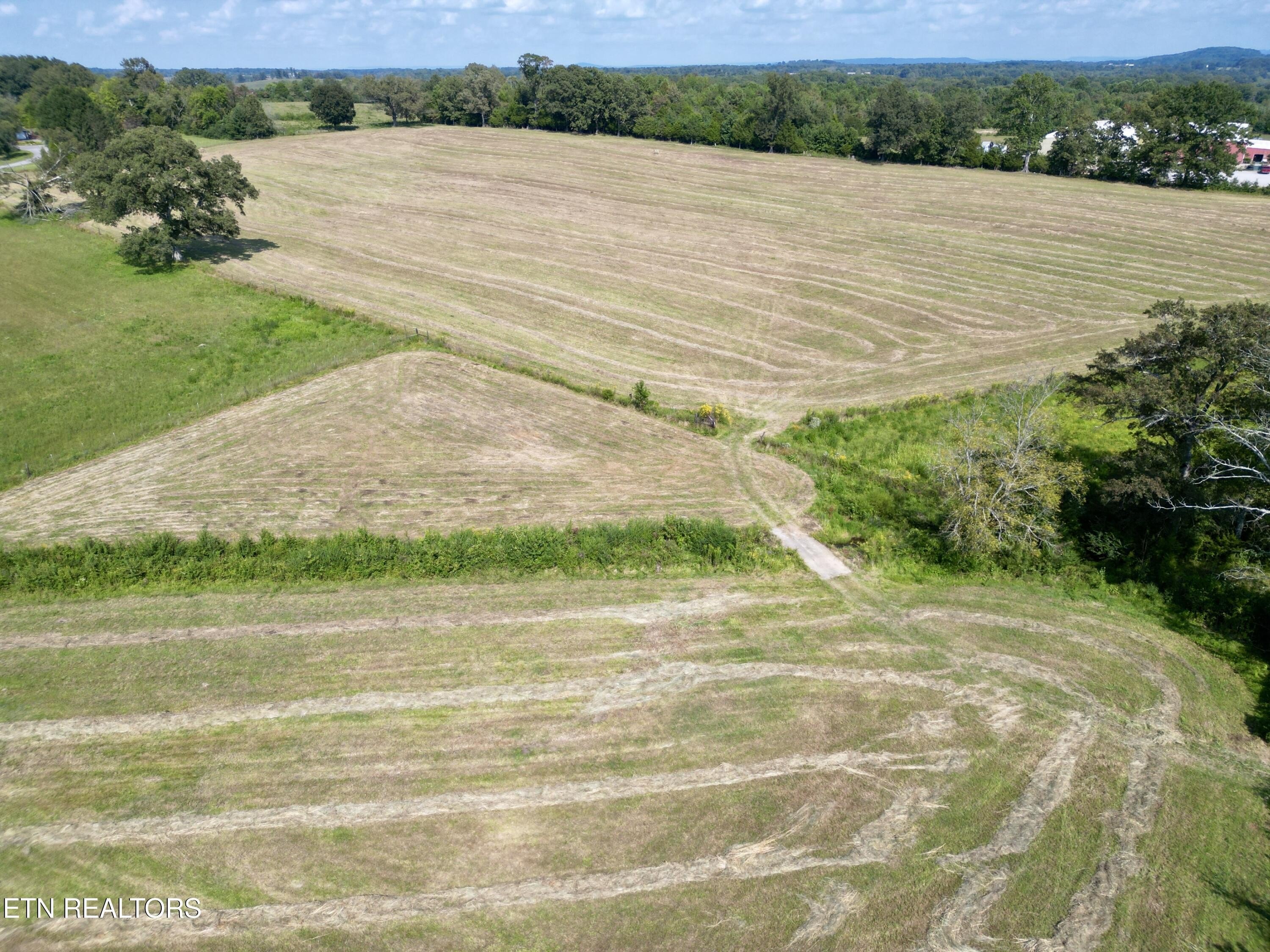 McMinnville, Tennessee, 37110, United States, 3 Bedrooms Bedrooms, ,1 BathroomBathrooms,Residential,For Sale,1976932