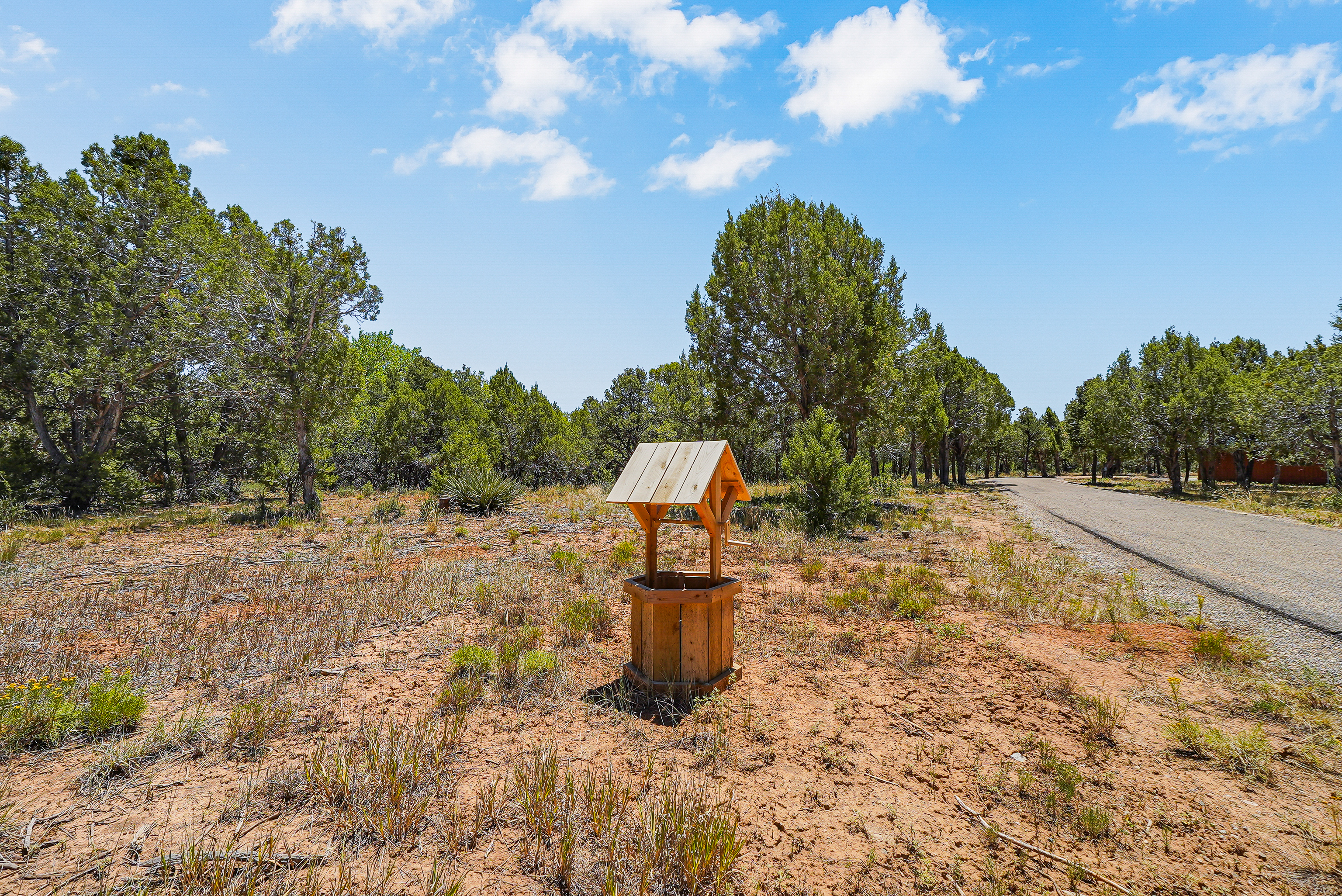  1326 County Road 220, Durango, CO 81303 - 物件實景