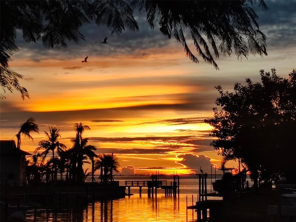 St Petersburg, Florida, 33705, United States, 4 Bedrooms Bedrooms, ,3 BathroomsBathrooms,Residential,For Sale,1991648