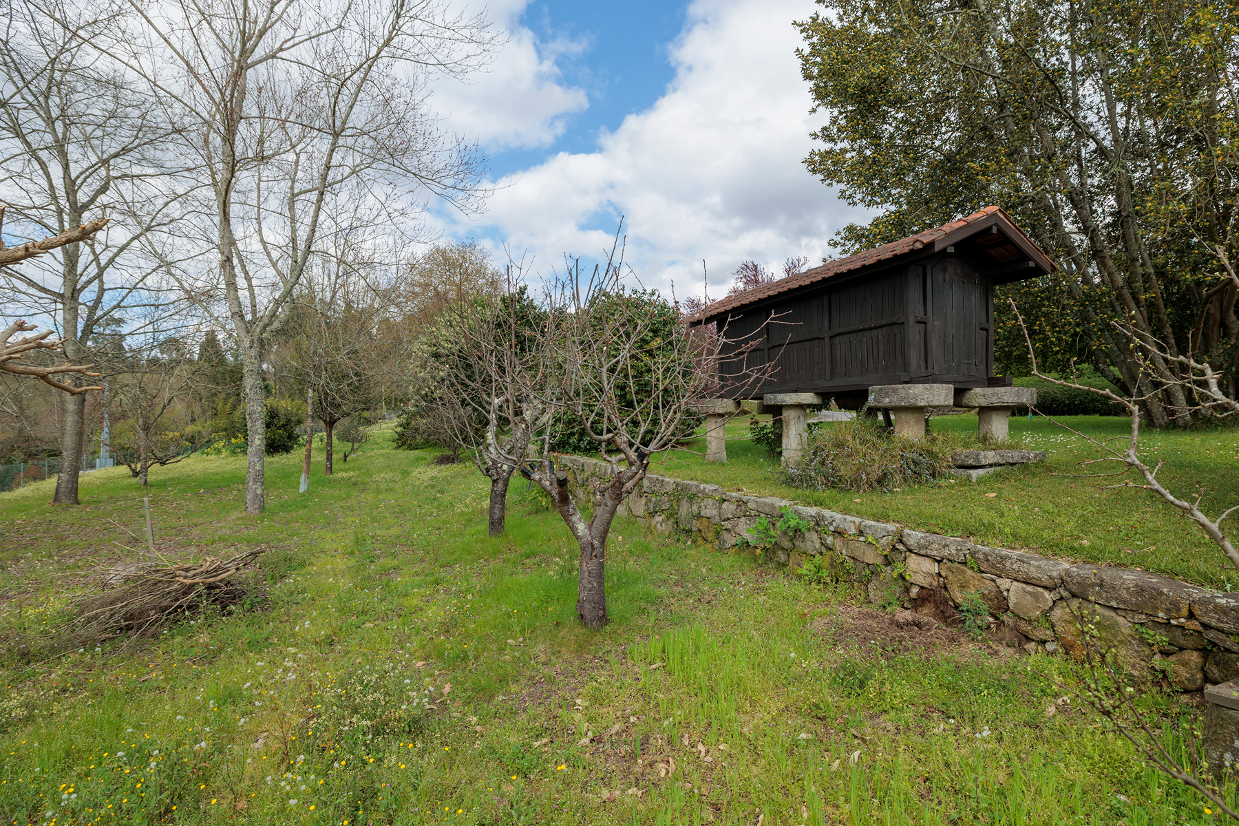  House Meder vineyards - 物件實景