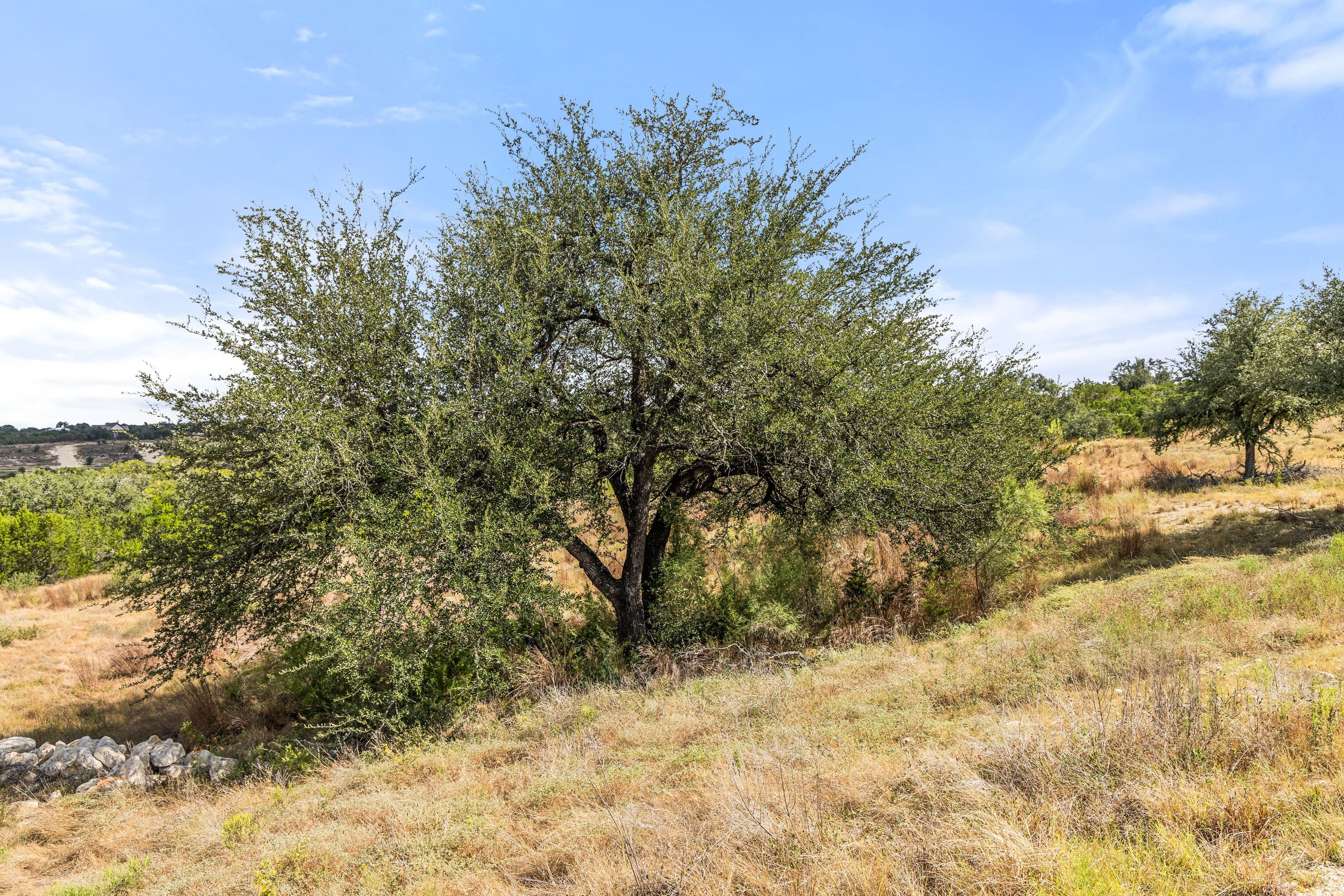  136 Legacy Hills Drive - Stunning 5 acre lot in a luxury gated community - 物件實景