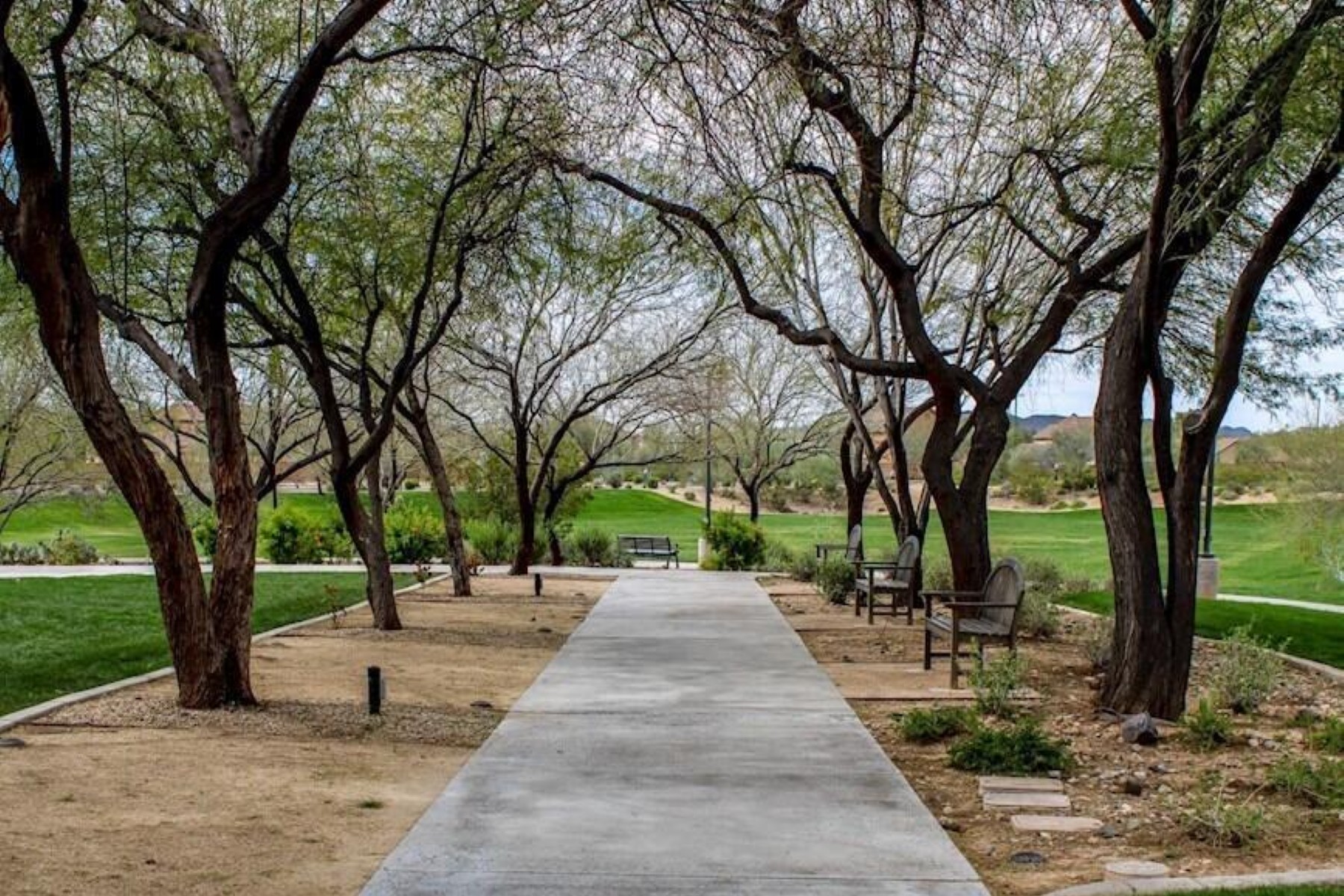  2425 W Bronco Butte Trail¦Phoenix, AZ - 物件實景