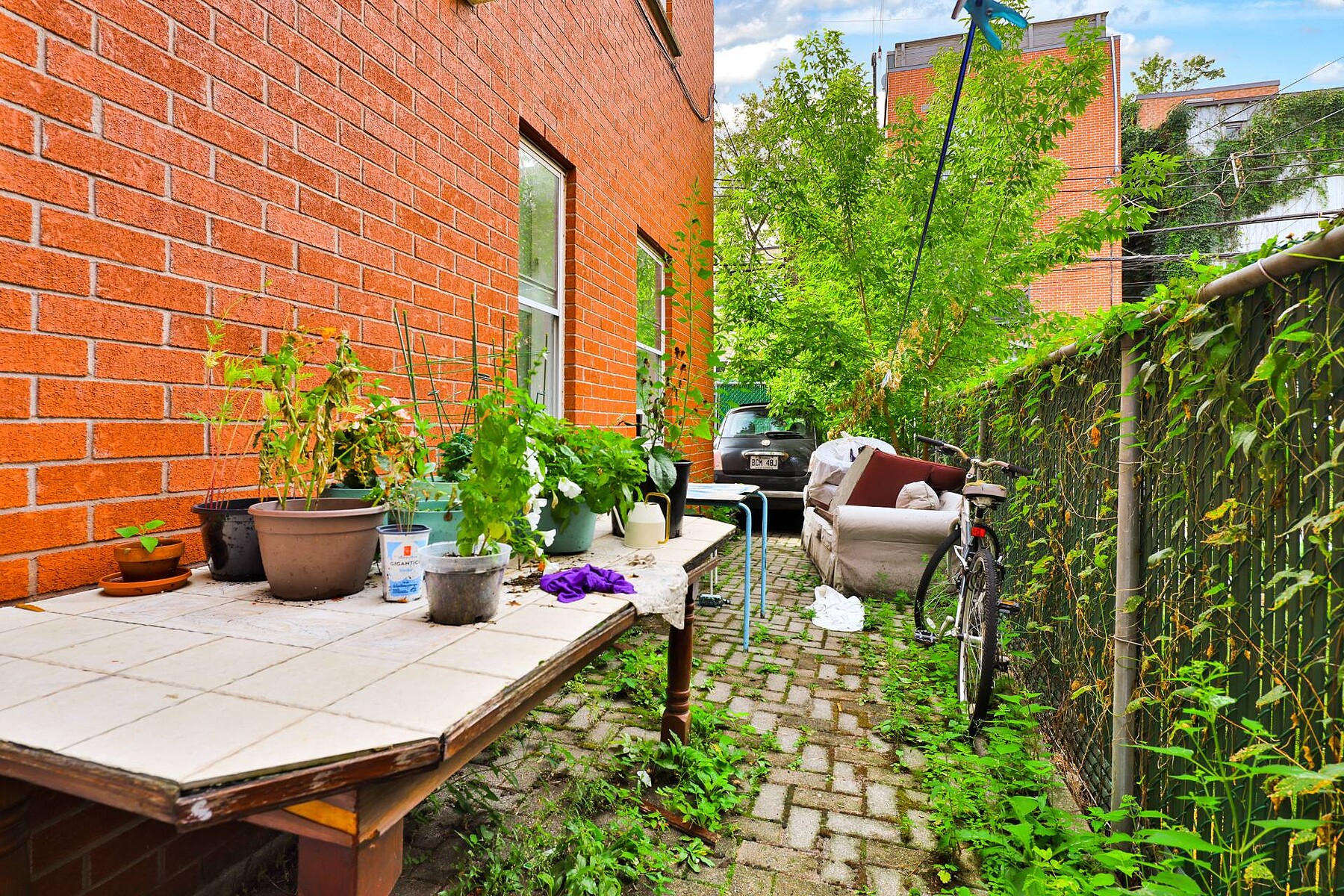  Le Plateau-Mont-Royal, Montréal - 物件實景