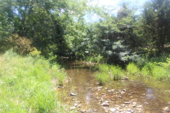 Polk, Missouri, 65727, United States, ,Land,For Sale,1980569