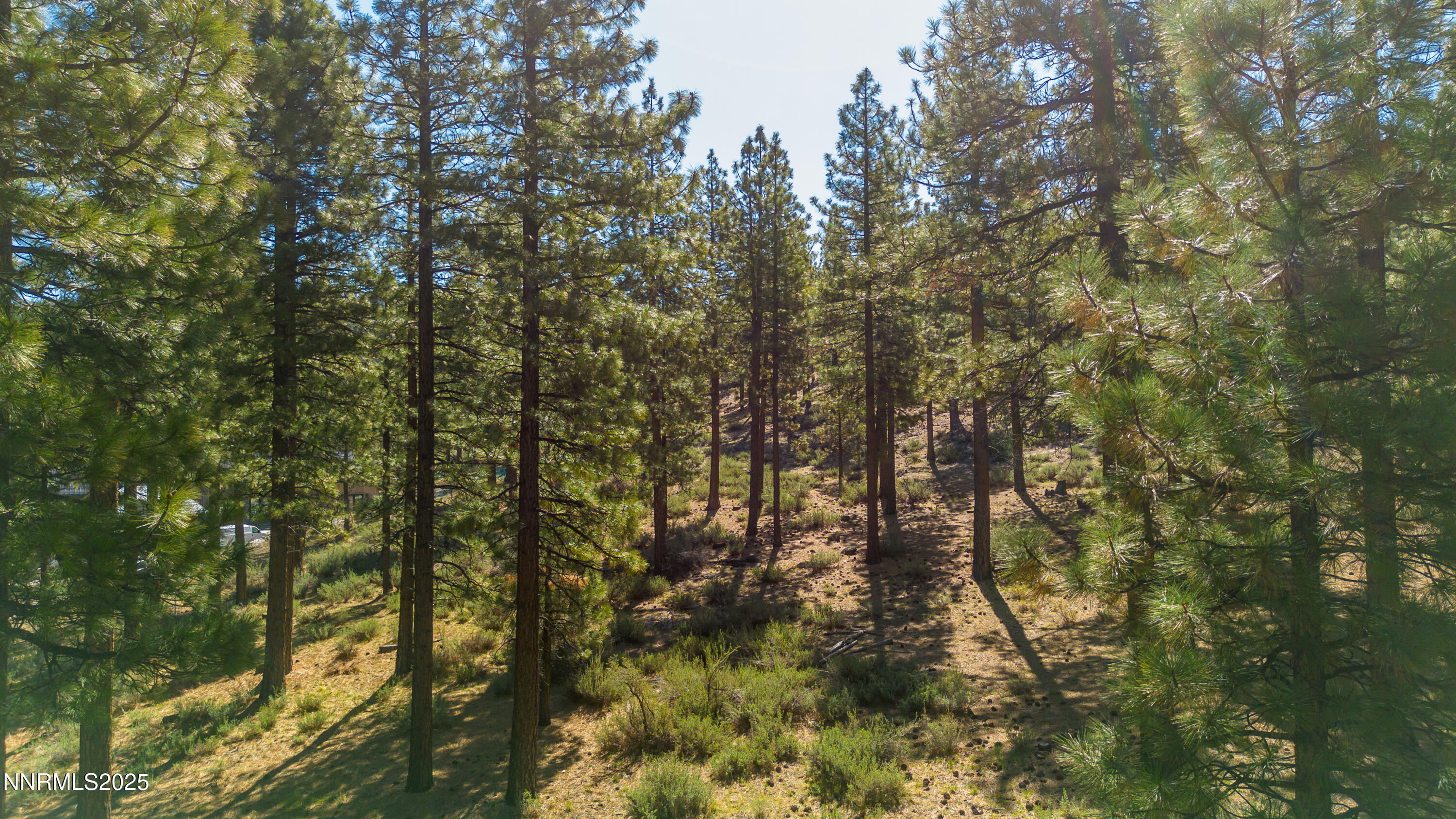 Carson City, Nevada, 89705, United States, ,Land,For Sale,1846834