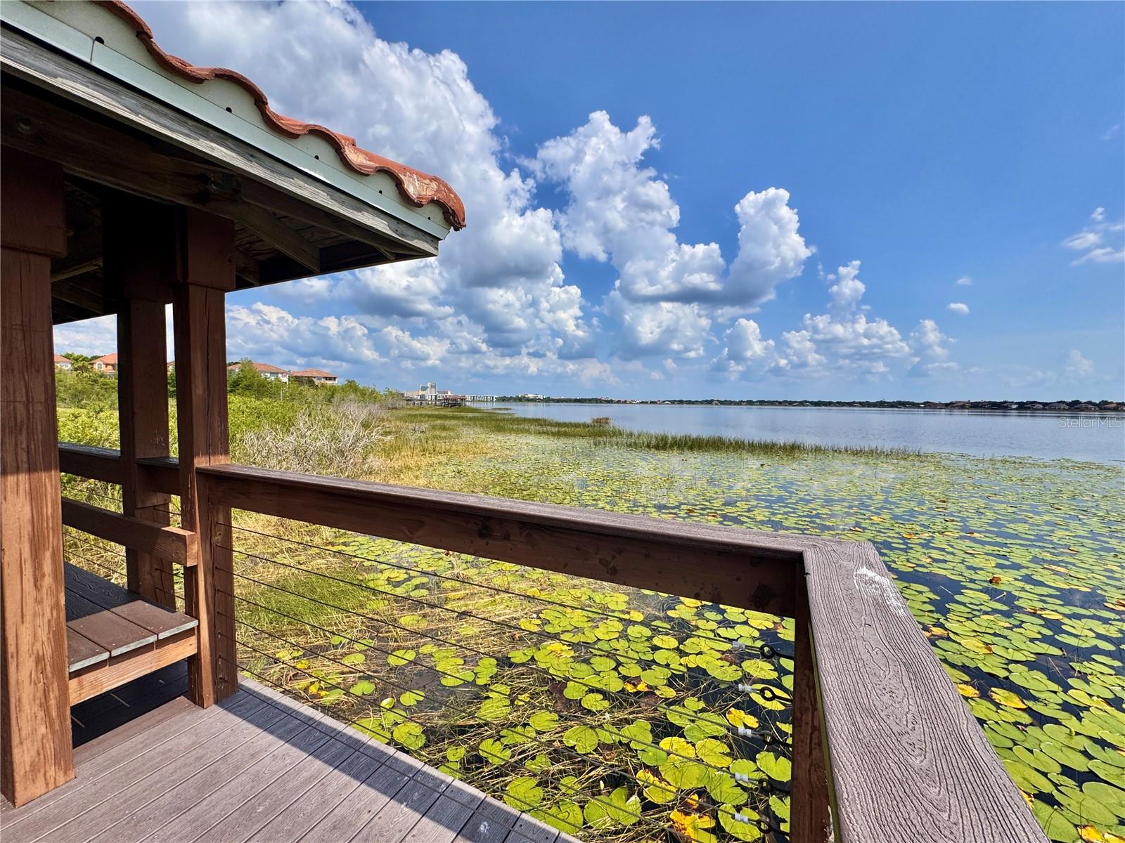 ORLANDO, Florida, 32836, United States, 5 Bedrooms Bedrooms, ,6 BathroomsBathrooms,Residential,For Sale,1983203