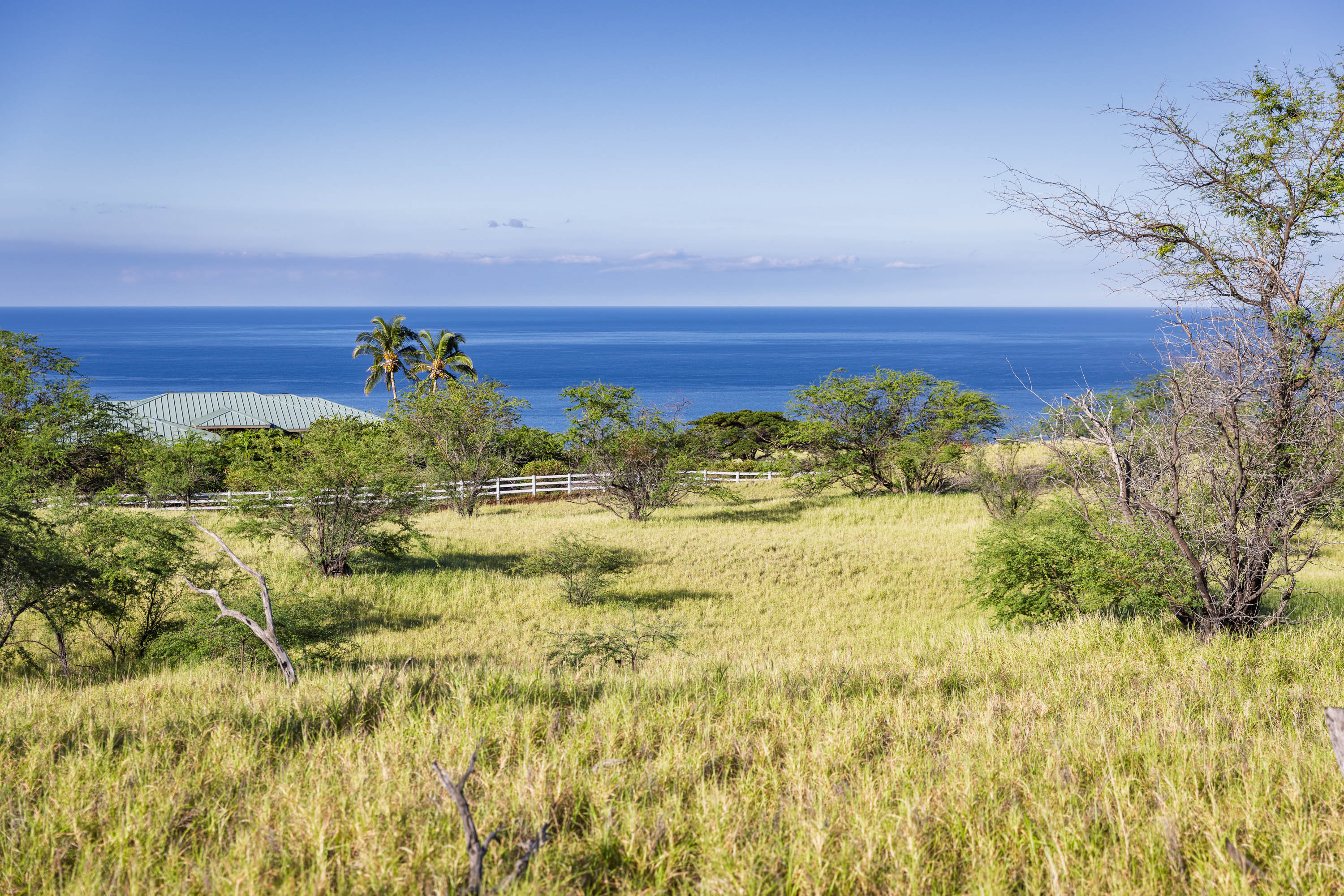  59-670 Kaala Road, Kamuela, HI, 96743 - 物件實景