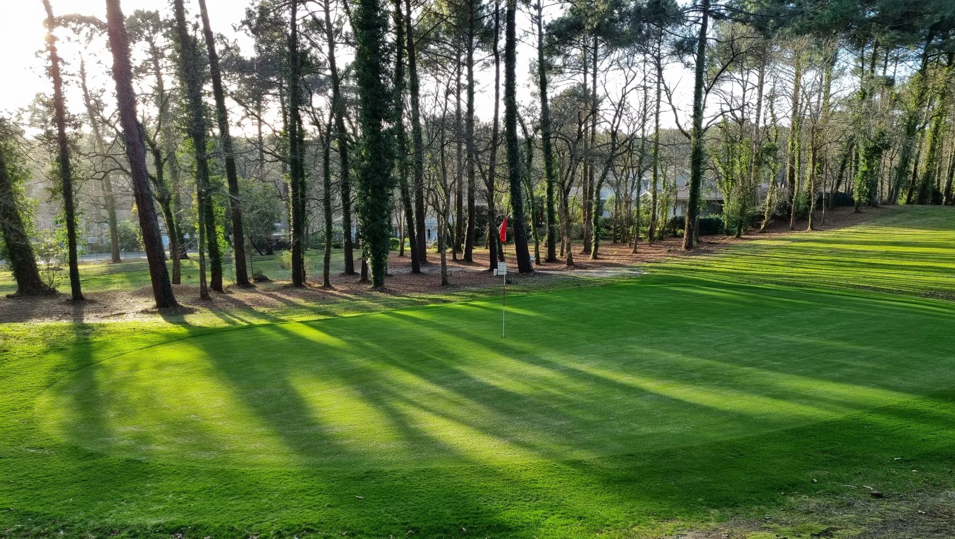 Biscarrosse, New Aquitaine, 40600, FR, 5 Bedrooms Bedrooms, ,8 BathroomsBathrooms,Residential,For Sale,1668952