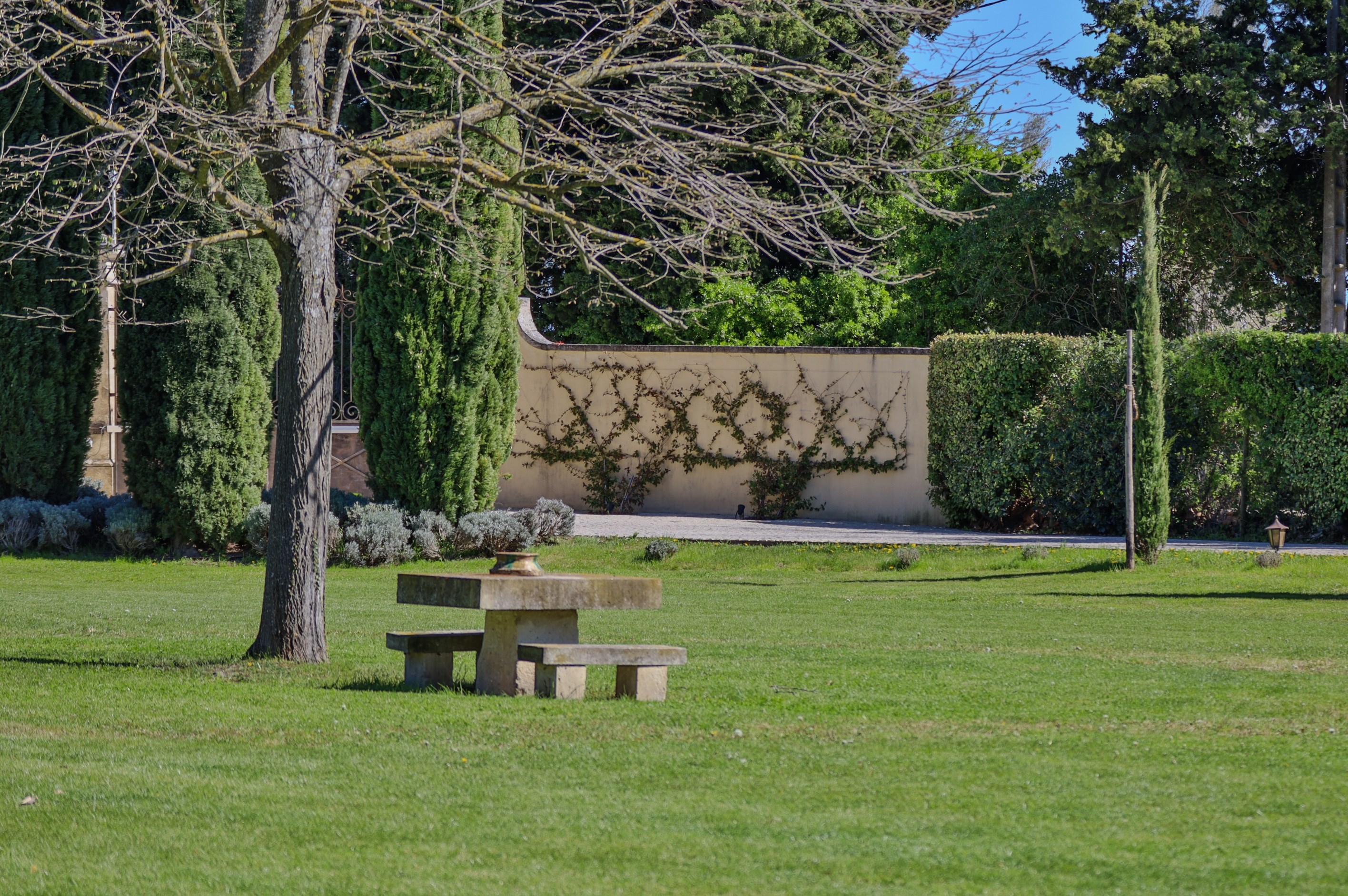  Charming 19th-Century Provençal Mas with Pool - 物件實景