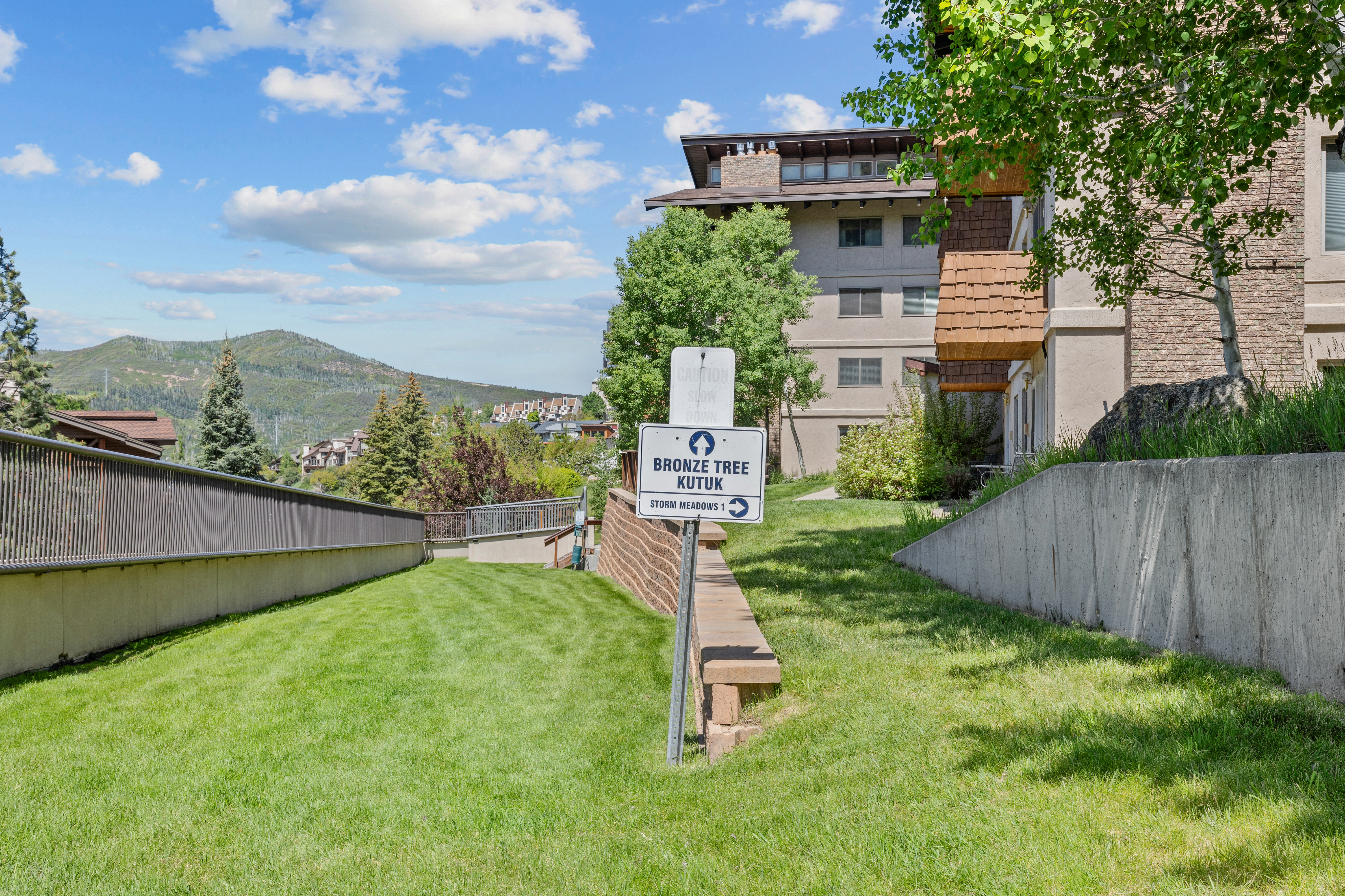  2215 Storm Meadows Drive, Steamboat Springs, CO, 80487 - 物件實景