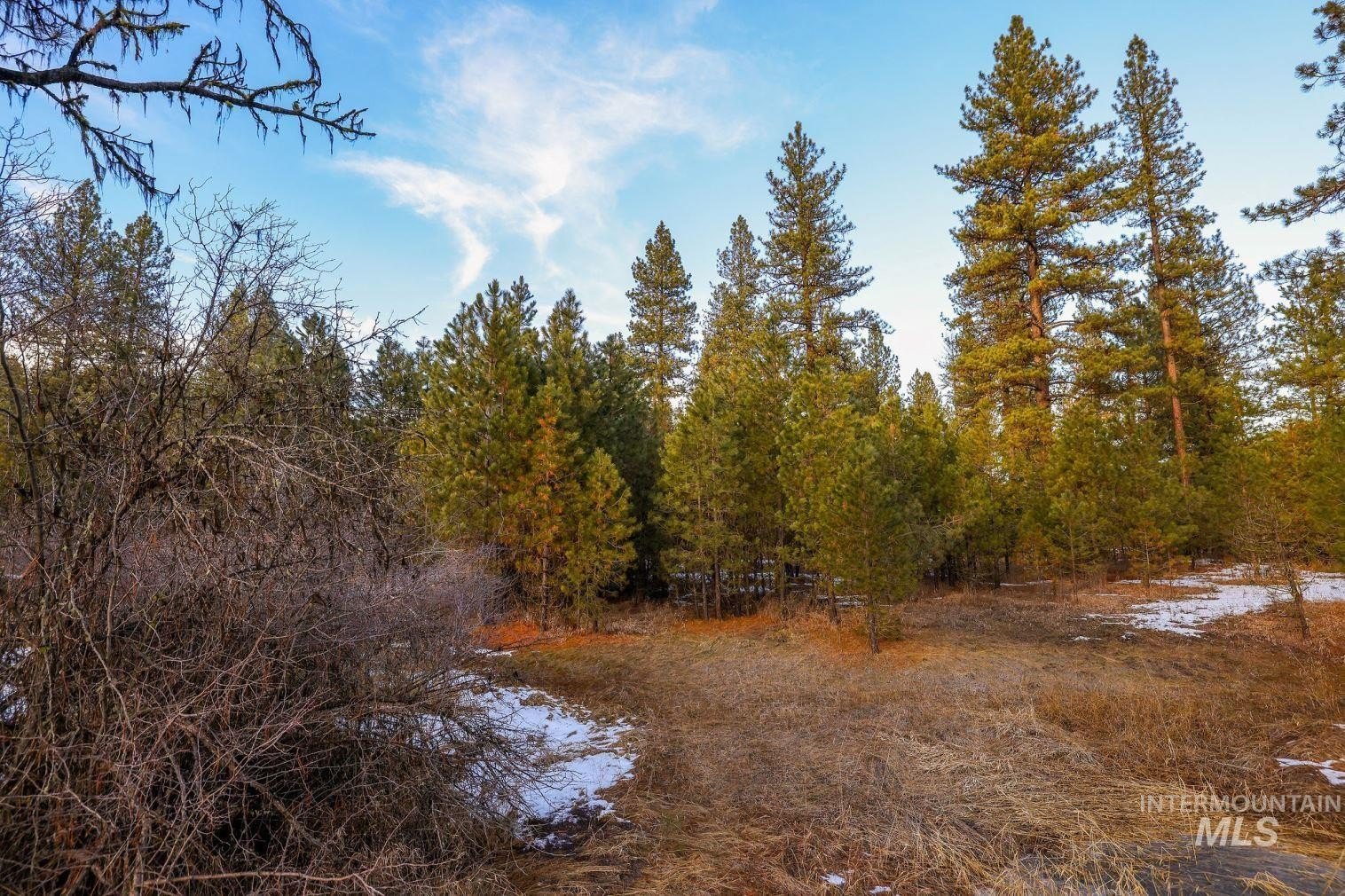 New Meadows, Idaho, 83654, United States, ,Land,For Sale,2006216