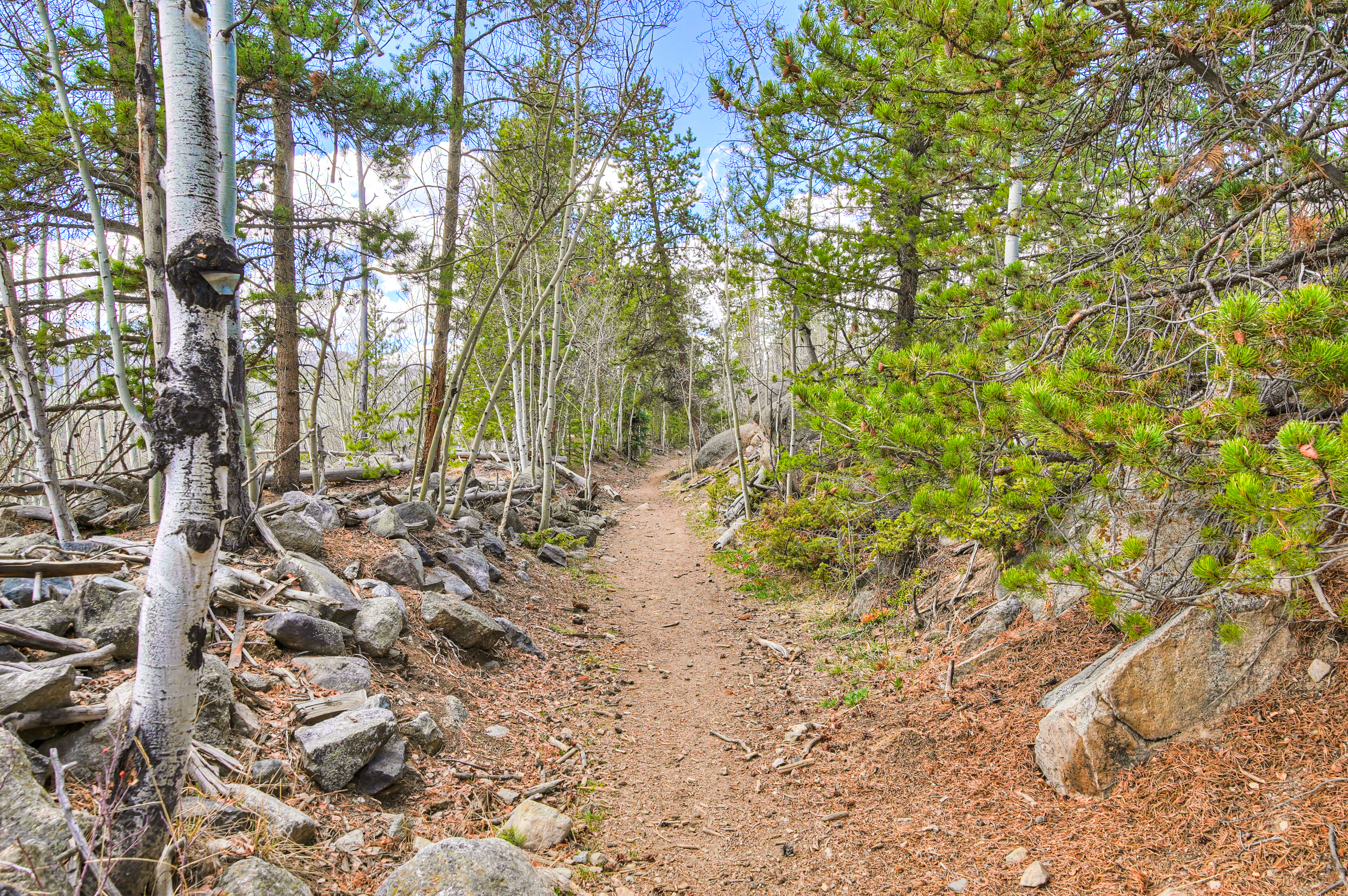  71 Antlers Gulch Road, Keystone, CO, 80435 - 物件實景