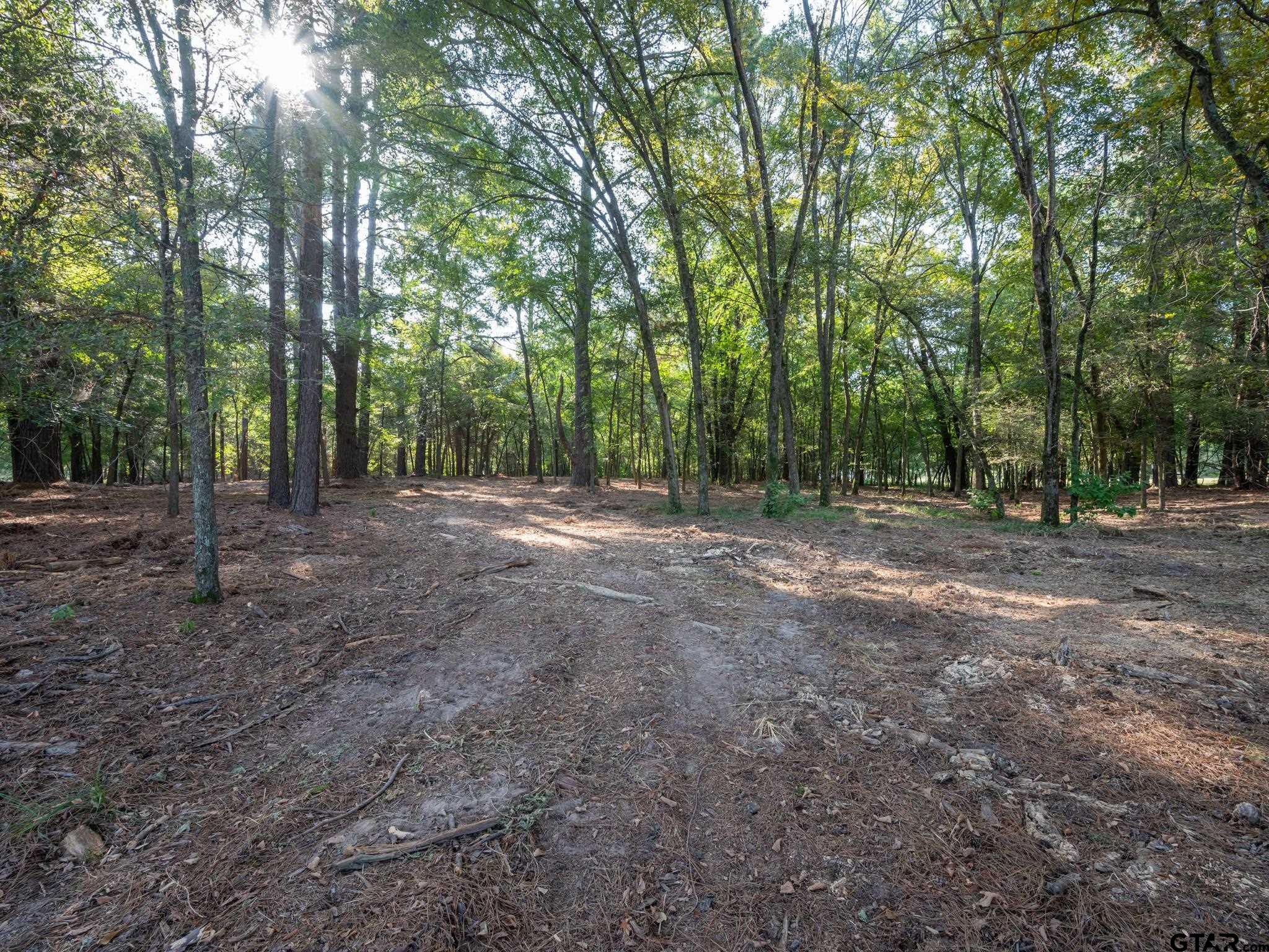 Chandler, Texas, 75758, United States, ,Land,For Sale,1826674