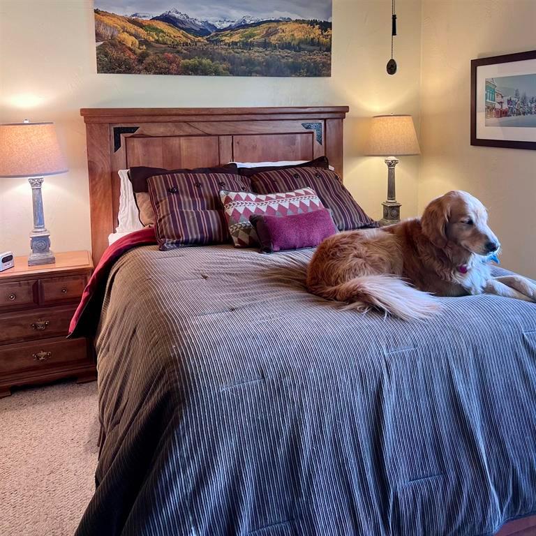 Mt. Crested Butte, Colorado, 81225, United States, 3 Bedrooms Bedrooms, ,2 BathroomsBathrooms,Residential,For Sale,1907558