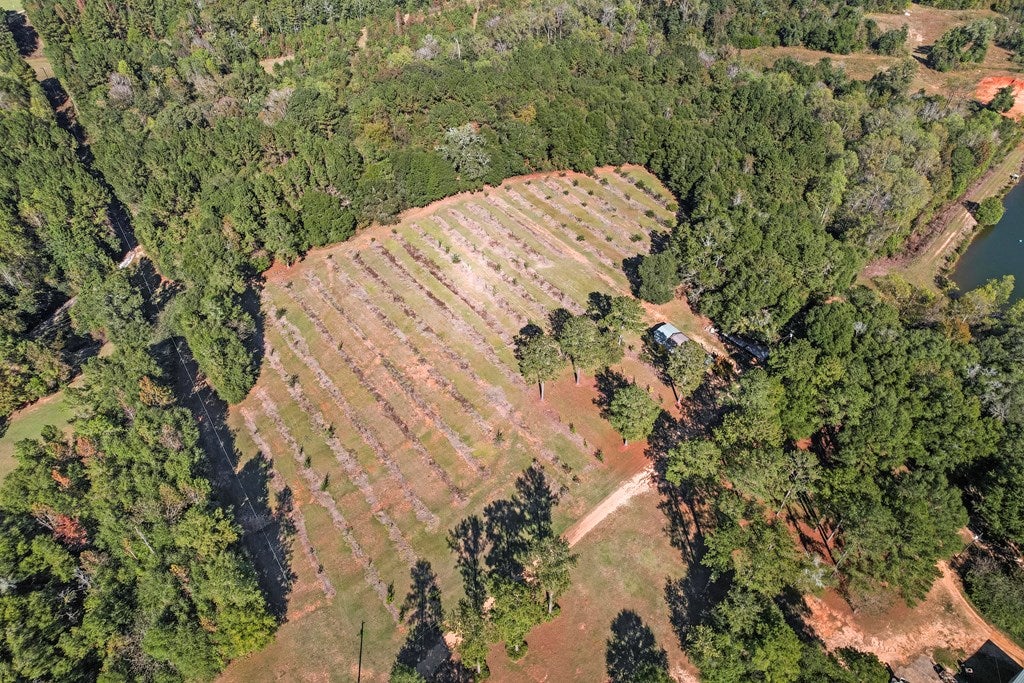 Midland City, Alabama, 36350, United States, 4 Bedrooms Bedrooms, ,3 BathroomsBathrooms,Residential,For Sale,1989153