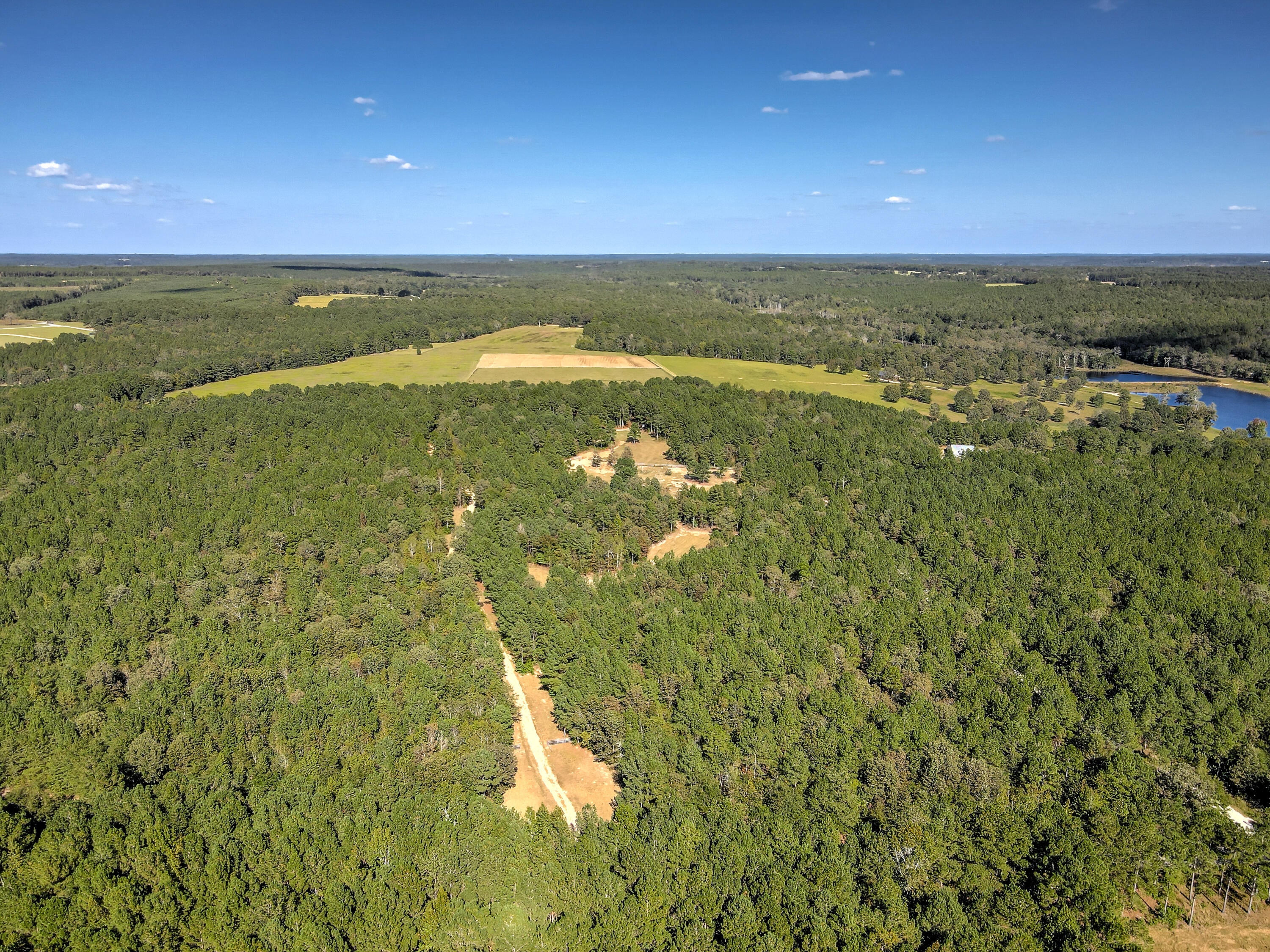 Wagener, South Carolina, 29164, United States, ,Land,For Sale,1969040
