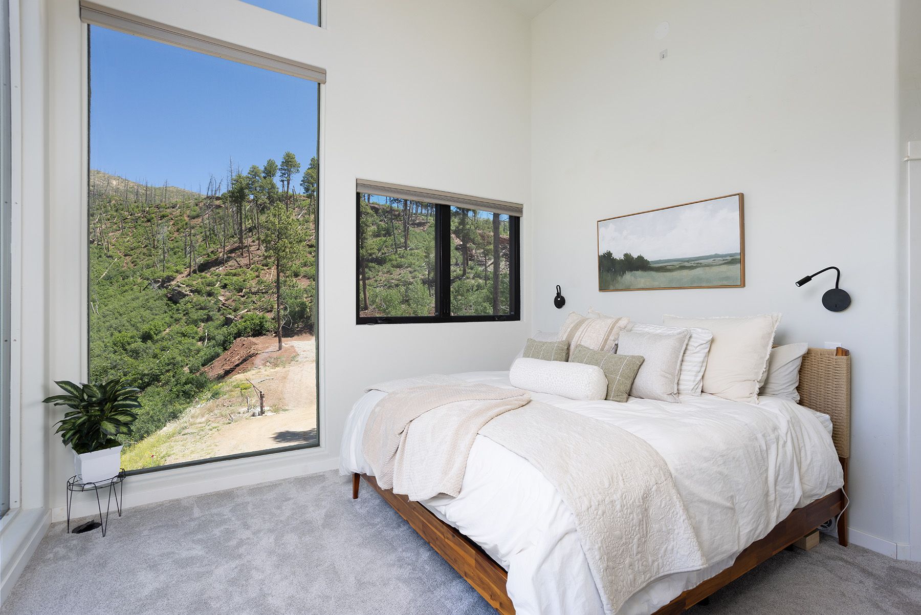  1165 Lake View Drive, Bayfield, CO 81122 - 物件實景