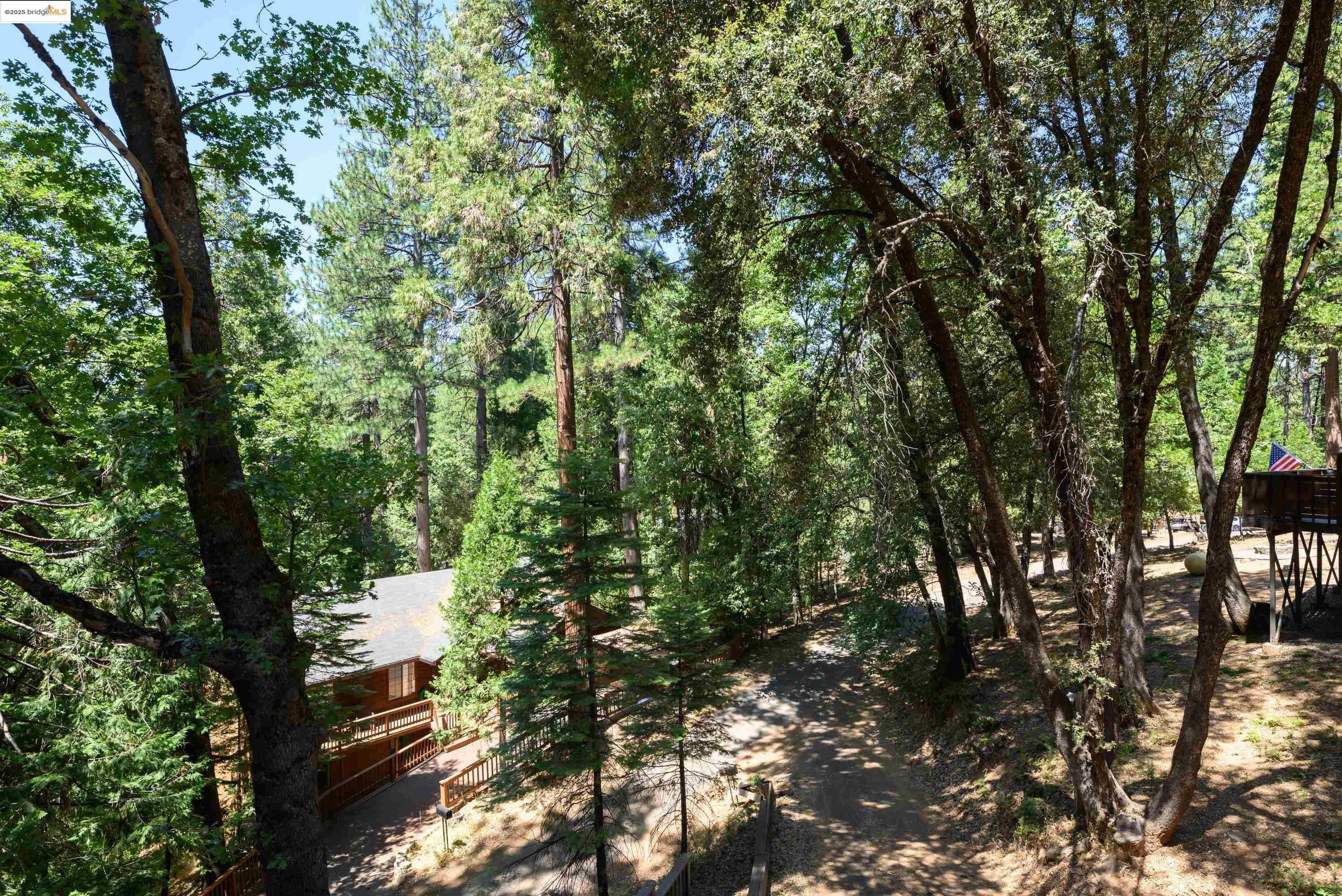 Twain Harte, California, 95383, United States, 5 Bedrooms Bedrooms, ,3 BathroomsBathrooms,Residential,For Sale,1945017