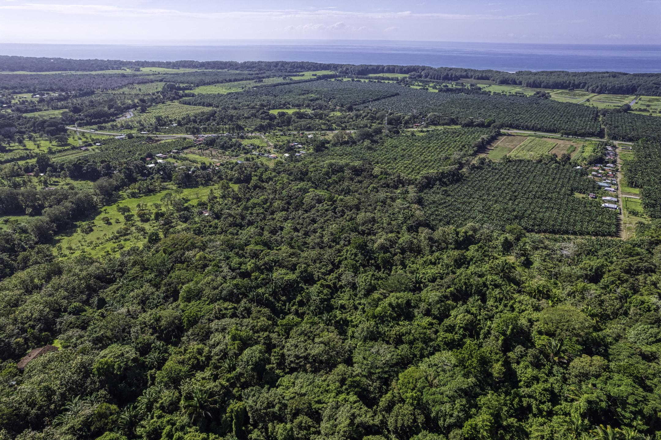 Portalon, Dominical, Puntarenas, CR, ,Land,For Sale,Portalon,1586164
