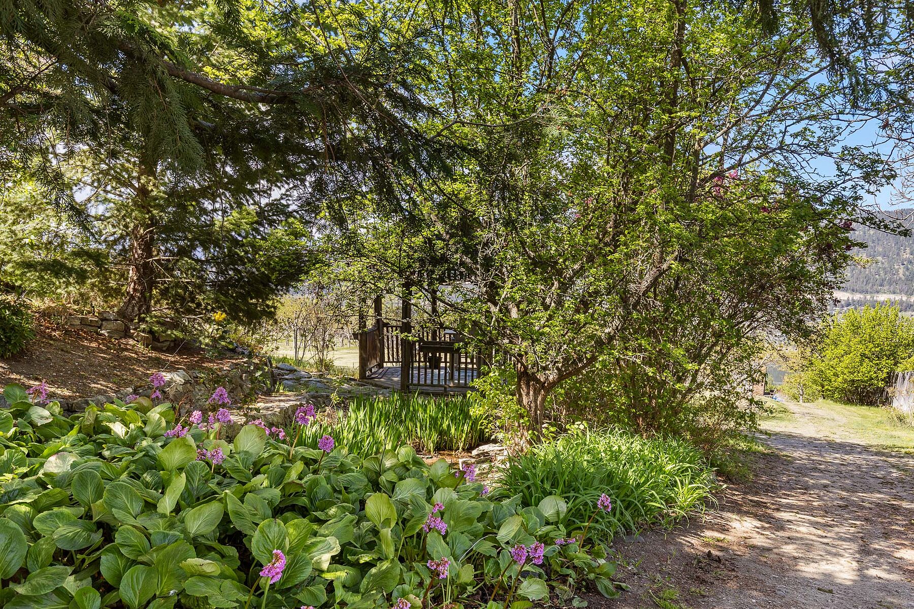 2.63 Acres in Oyama - 物件實景