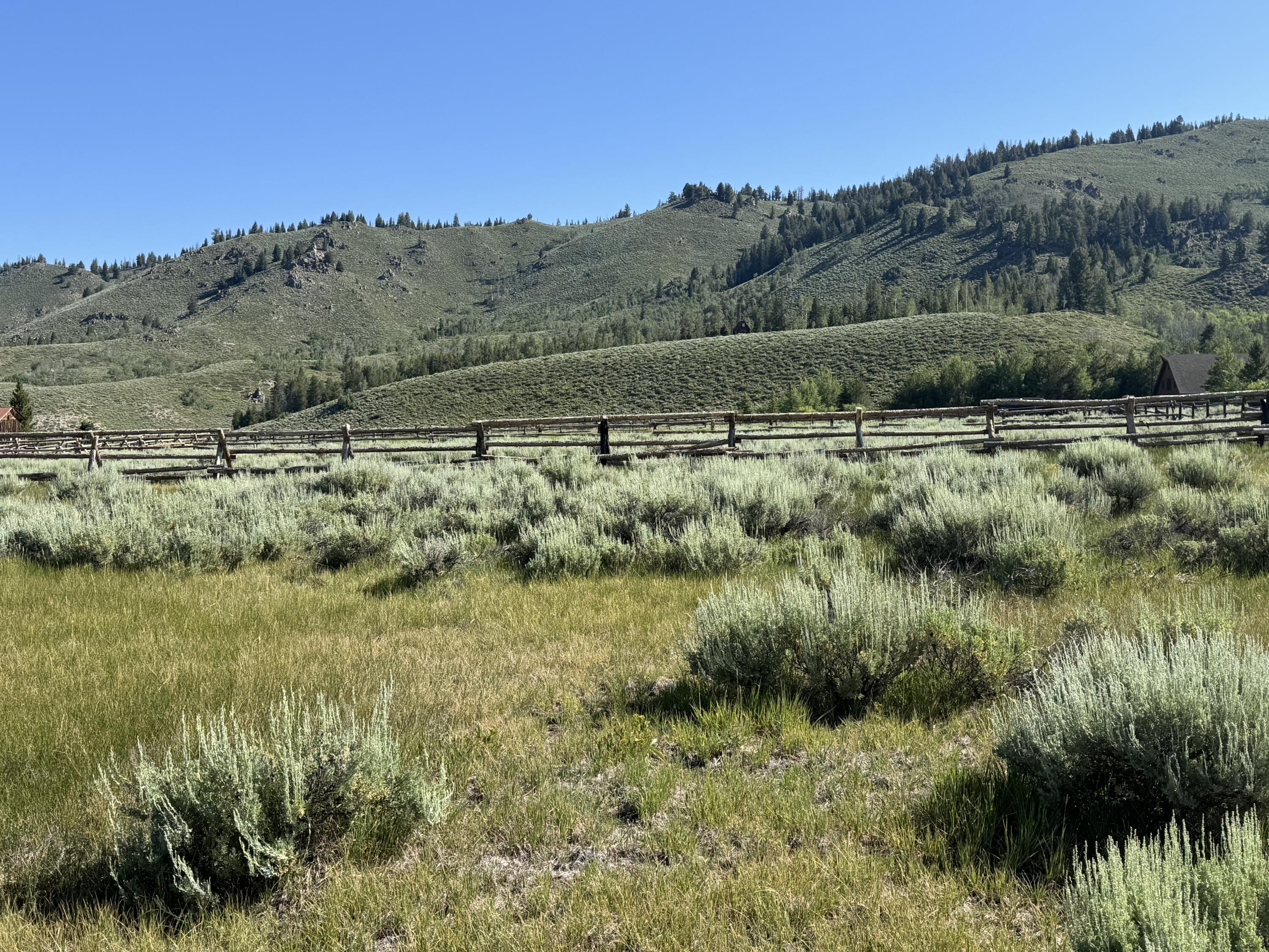 Stanley, Idaho, 83278, United States, ,Land,For Sale,1901484