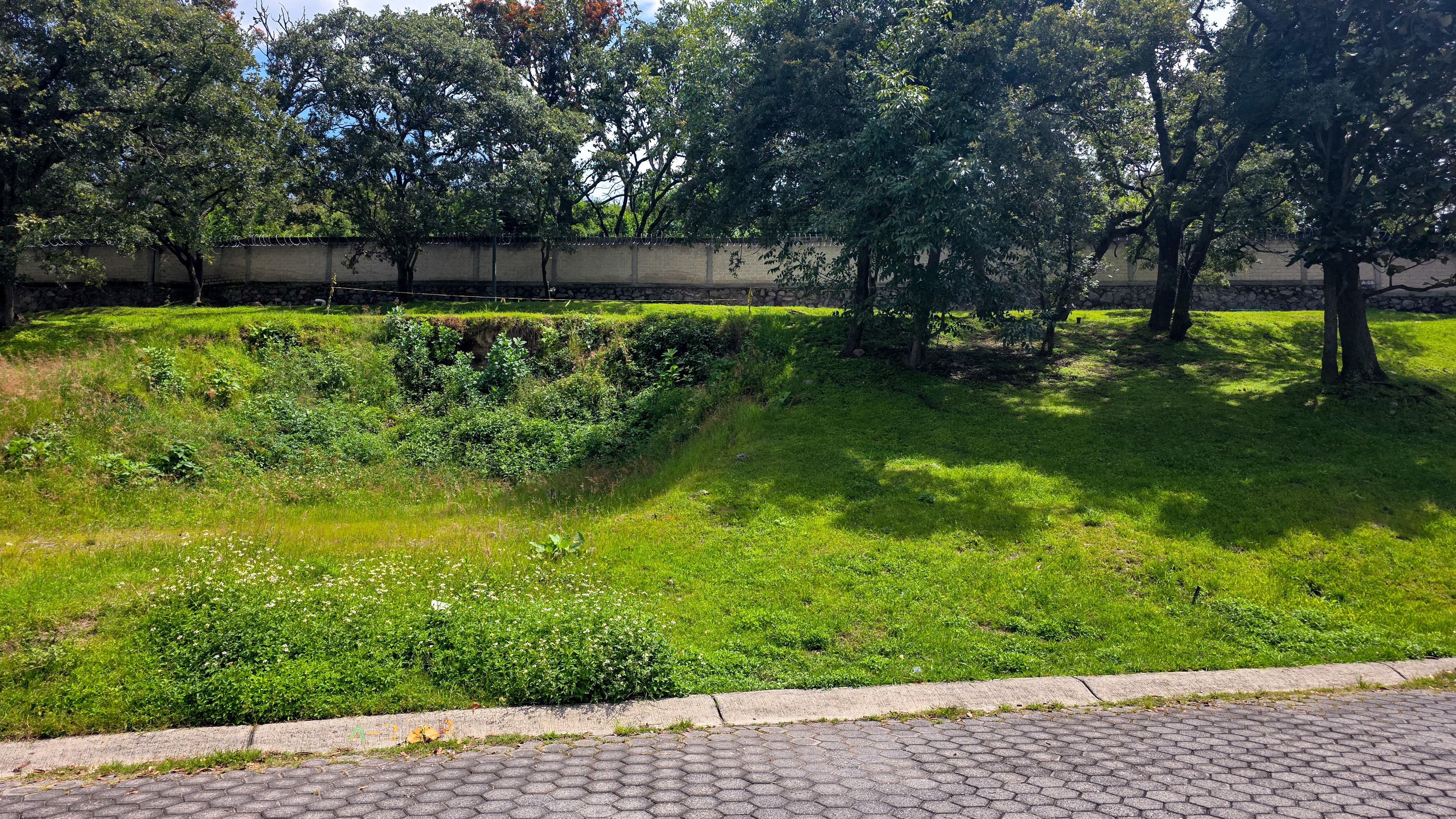  Terreno en Venta  Bosque Real, Zona Sur - 物件實景