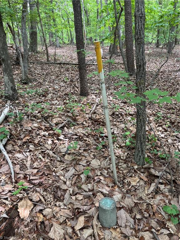 Pinnacle, North Carolina, 27043, United States, ,Land,For Sale,1829534