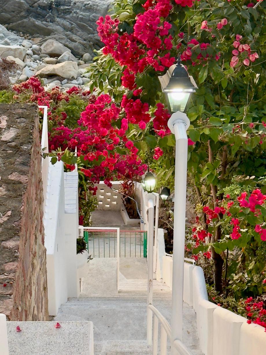 Puerto Vallarta, Jalisoc, 48270, Mexico, 2 Bedrooms Bedrooms, ,2 BathroomsBathrooms,Residential,For Sale,1940331