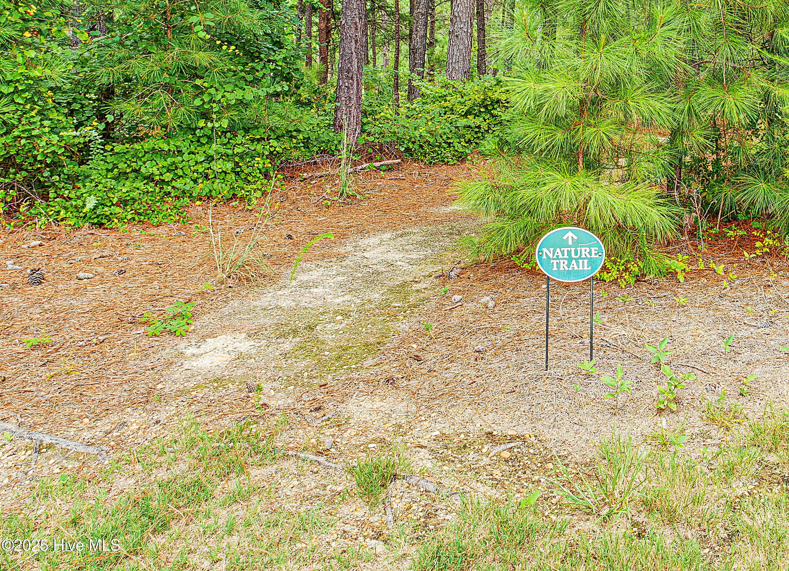 West End, North Carolina, 27376, United States, 4 Bedrooms Bedrooms, ,4 BathroomsBathrooms,Residential,For Sale,1877359