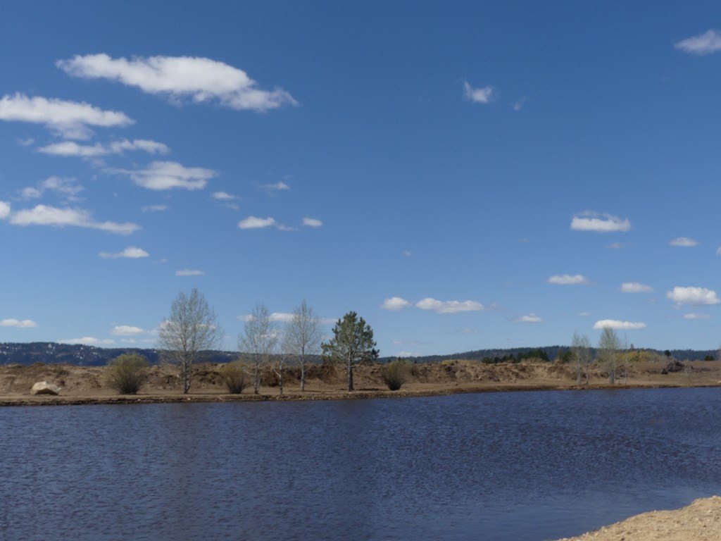 McCall, Idaho, 83638, United States, ,Land,For Sale,1978788