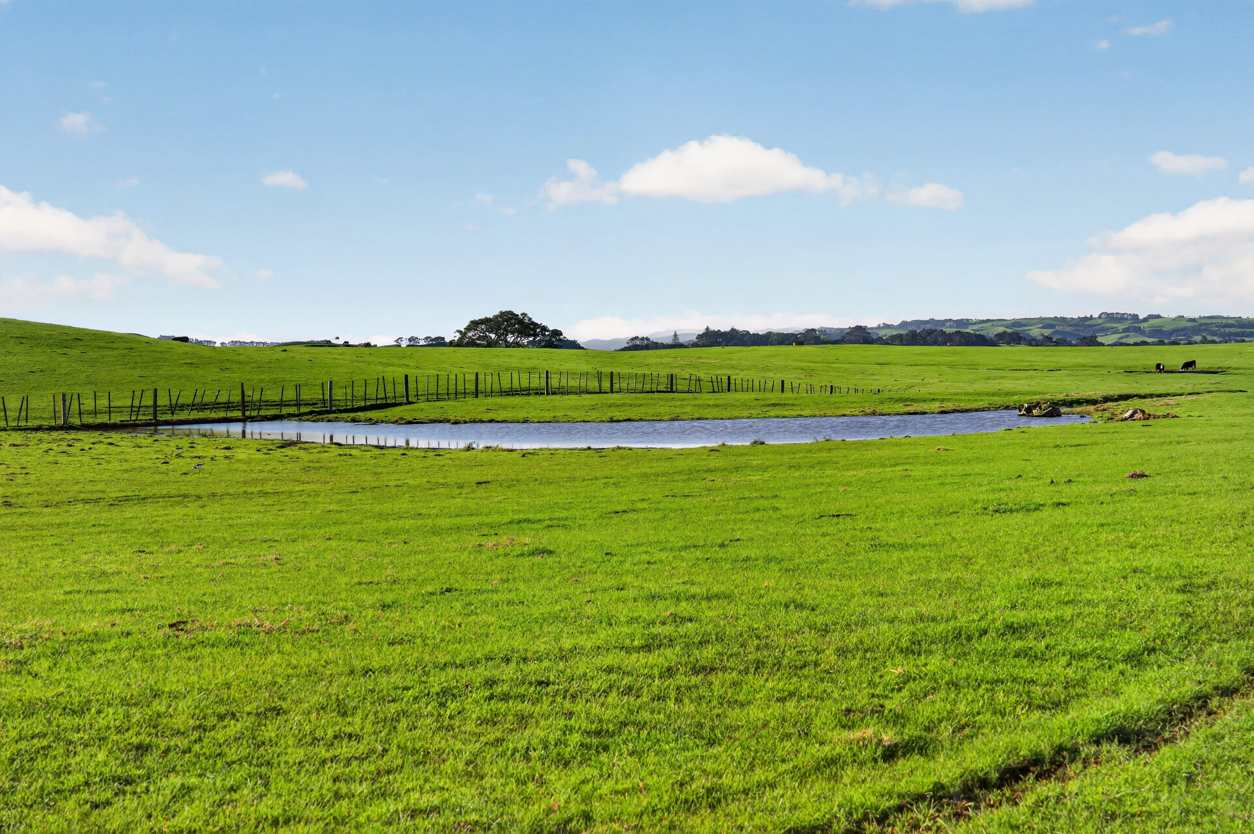  55 Coster Road, Muriwai - 物件實景